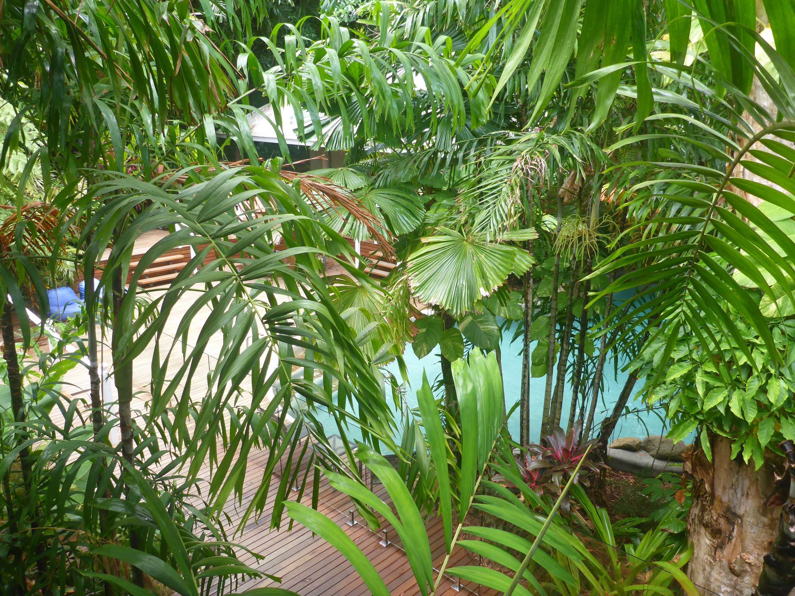 Gift card for Palm Cove Tropic Apartments Gift card for Palm Cove Tropic Apartments
