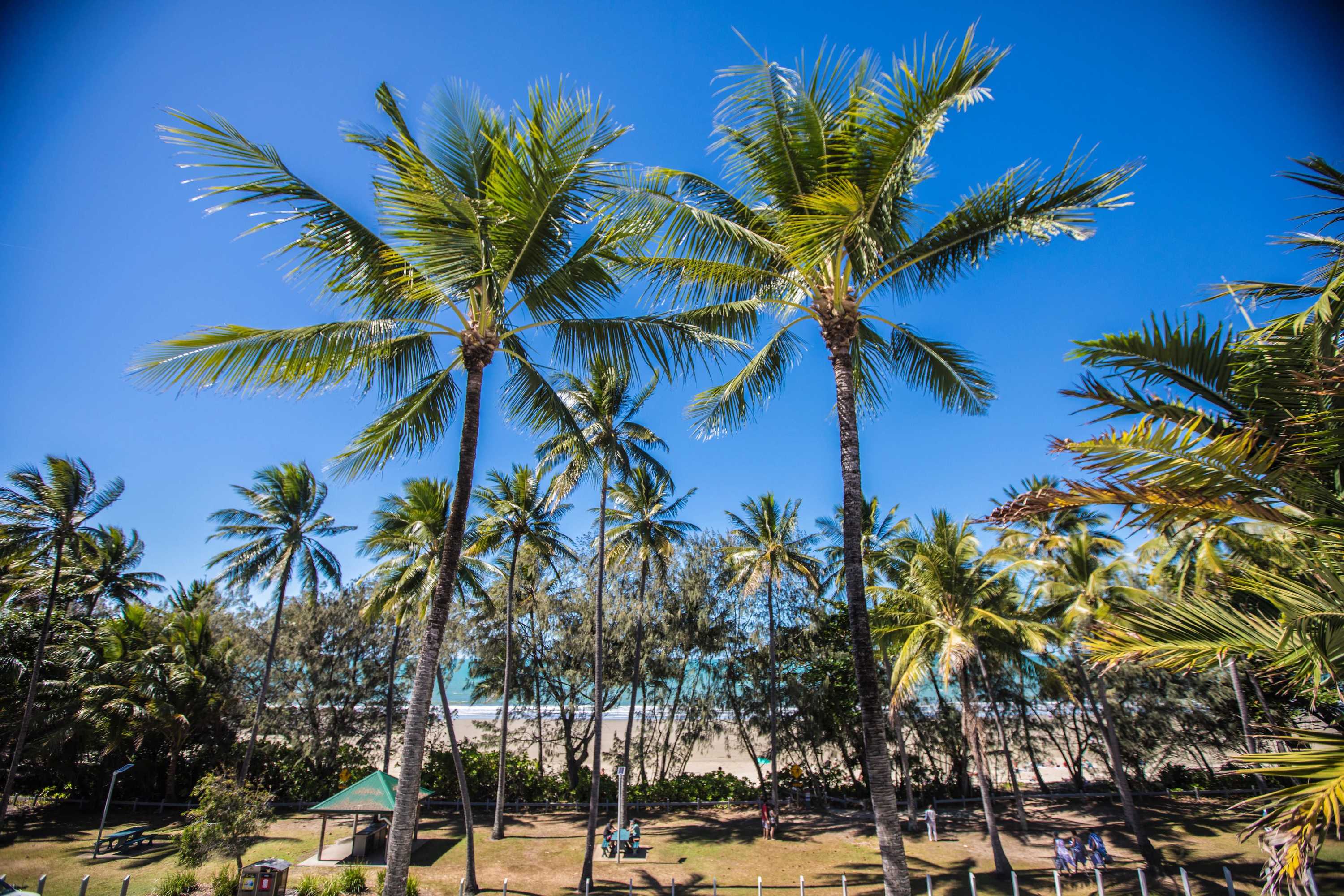 Gift card for Peninsula Boutique Hotel Port Douglas - Adults Only Haven Gift card for Peninsula Boutique Hotel Port Douglas - Adults Only Haven