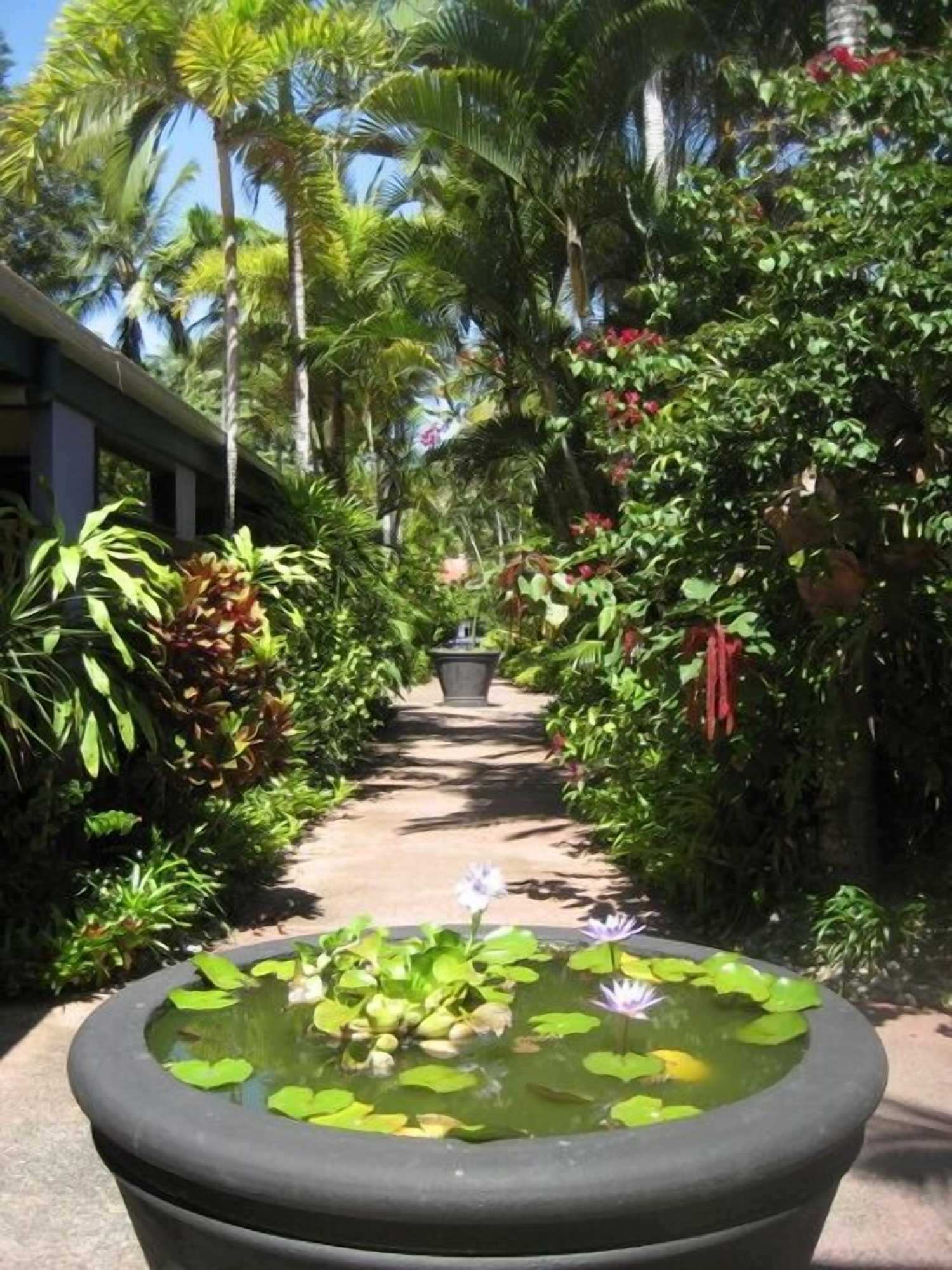 Gift card for Pink Flamingo Resort Gift card for Pink Flamingo Resort