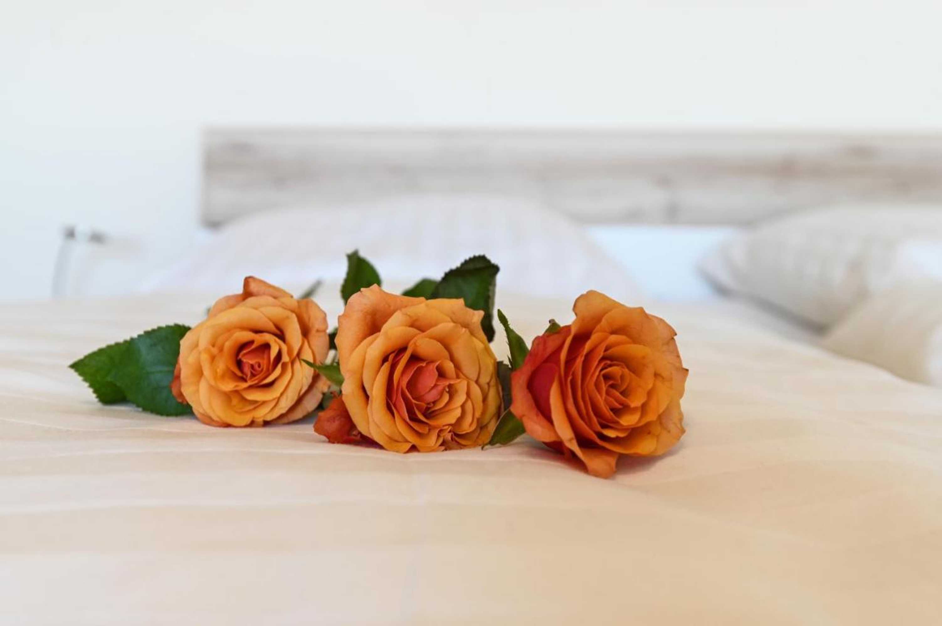 Gift card for Schoepke Pension