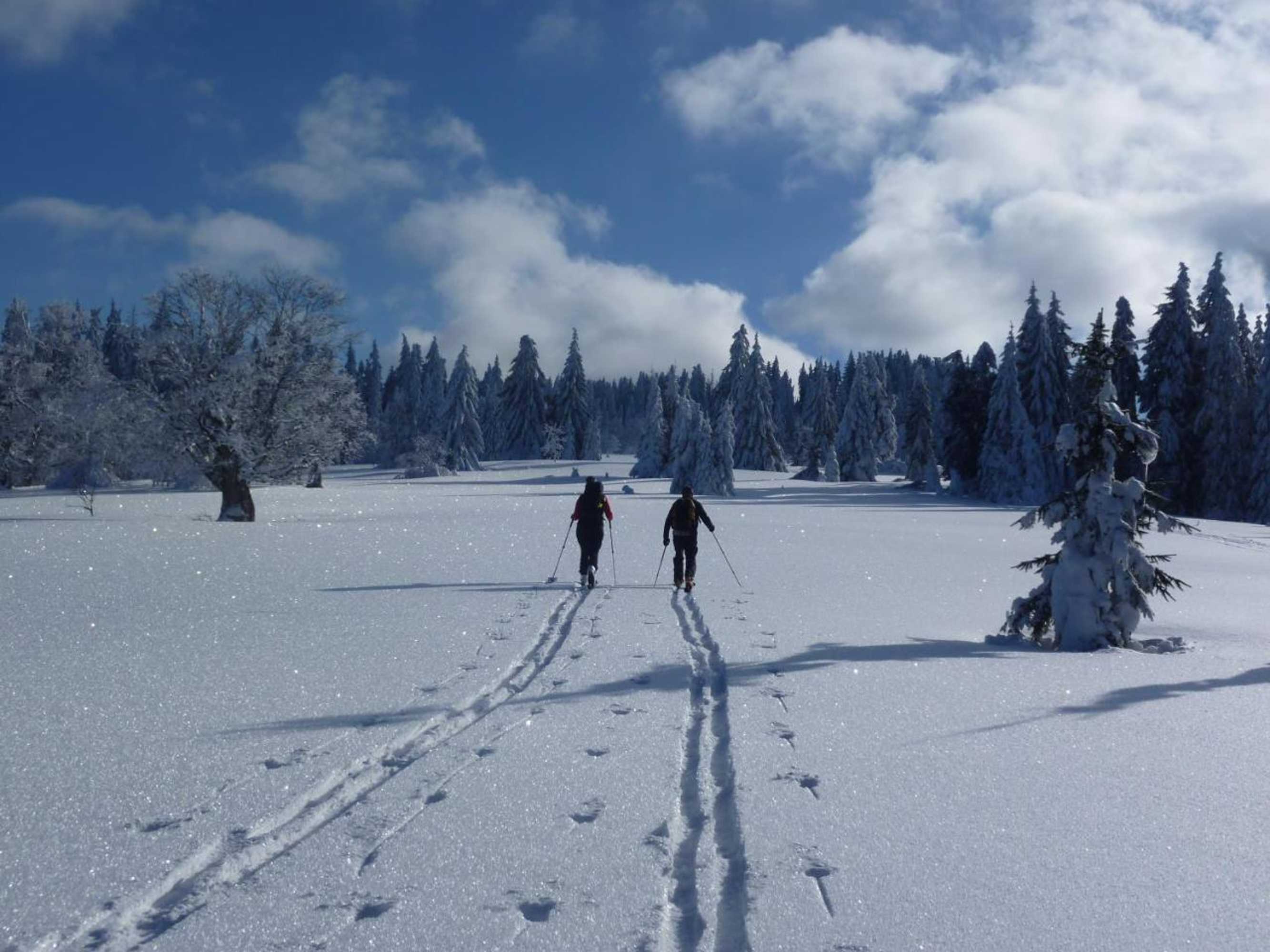 Gift card for Hotel Zur Waldbahn