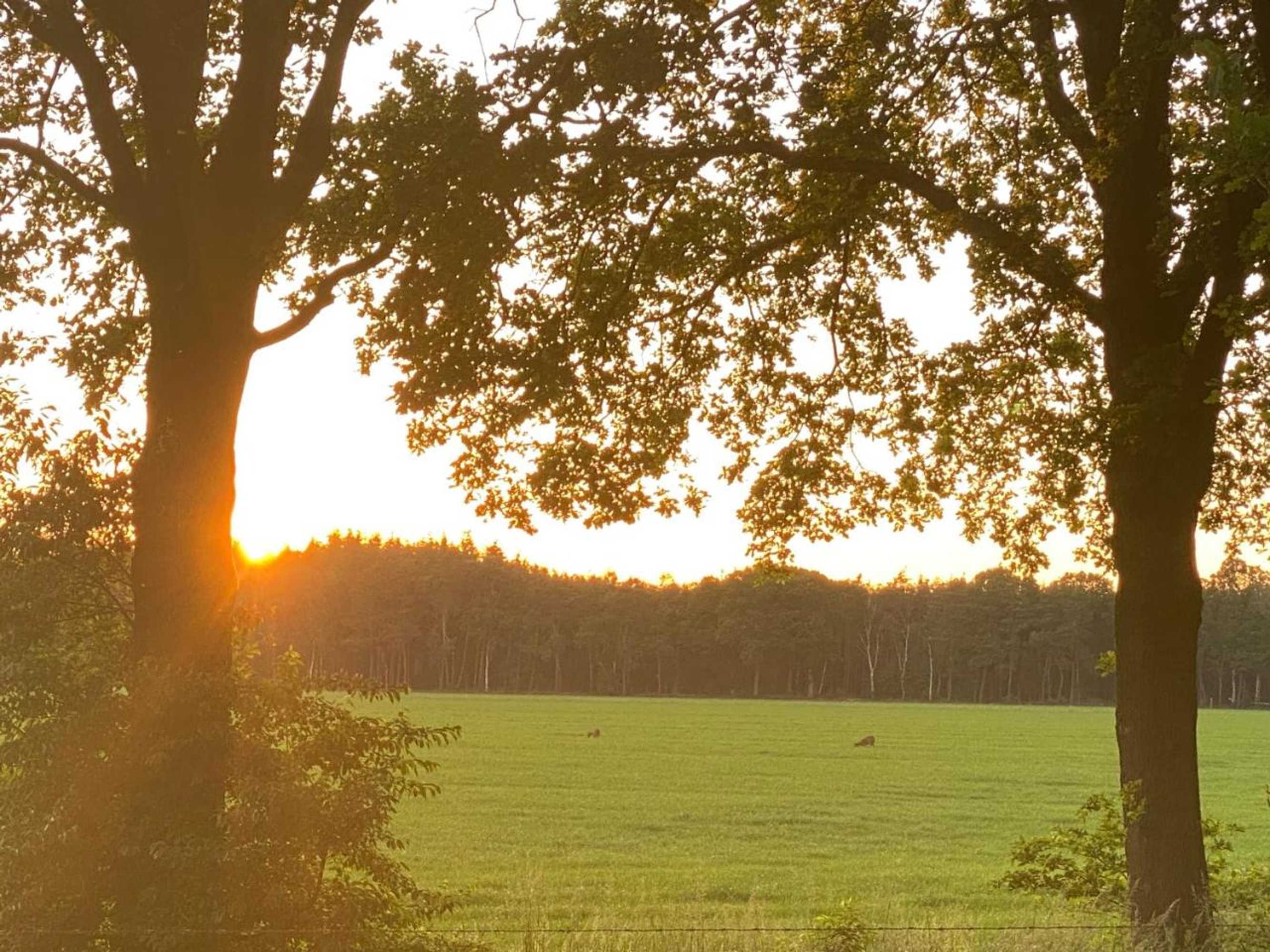 Gift card for Chalet de Kleine Eekhoorn