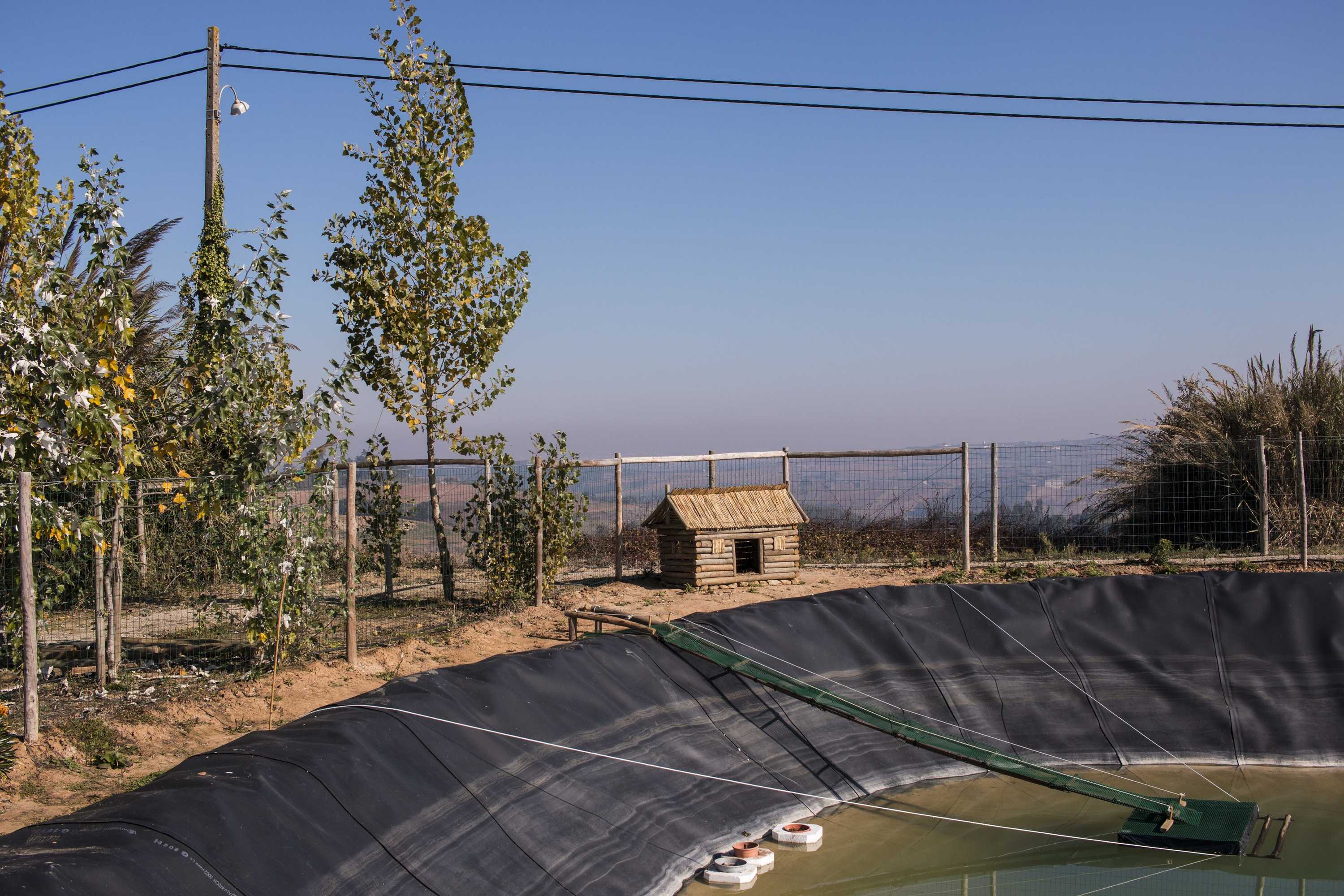 Gift card for Entre Vinhas & Mar Gift card for Entre Vinhas & Mar