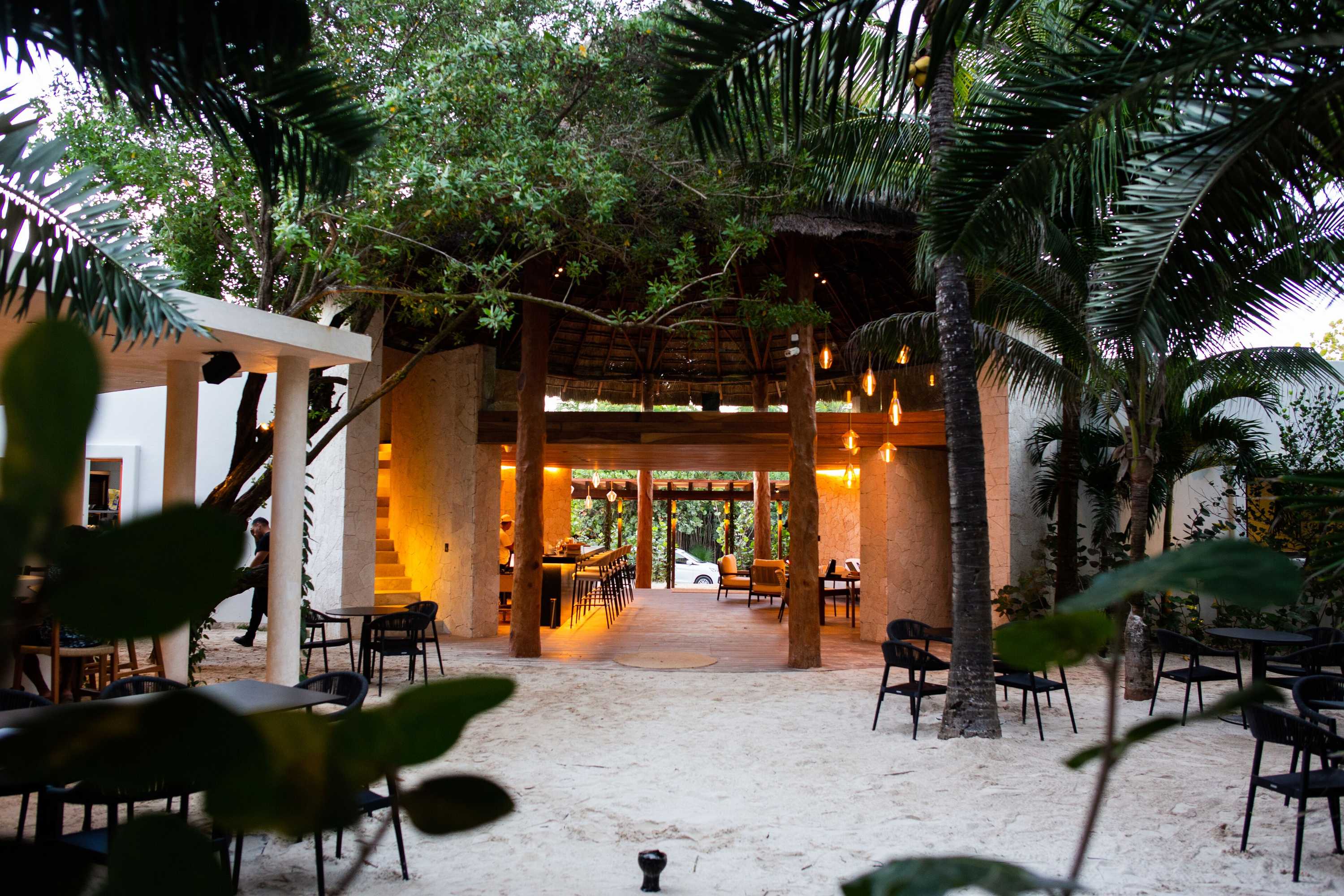 Gift card for Tago Tulum by G Hotels Gift card for Tago Tulum by G Hotels