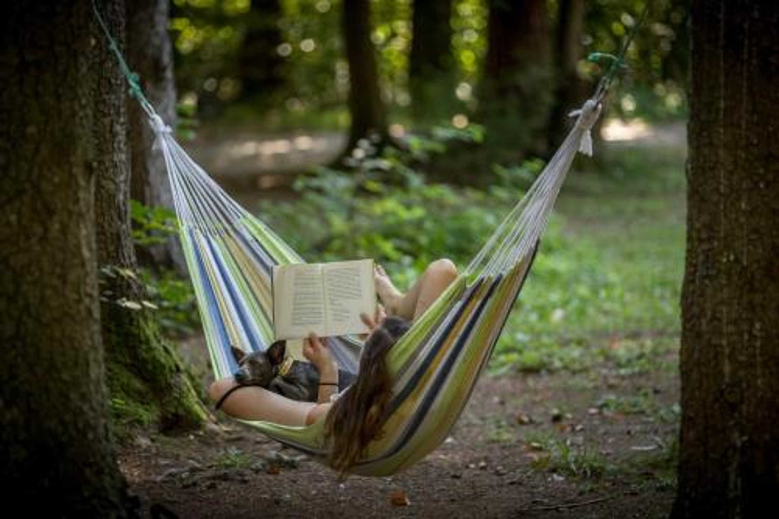 Gift card for Forest Camping Mozirje Gift card for Forest Camping Mozirje