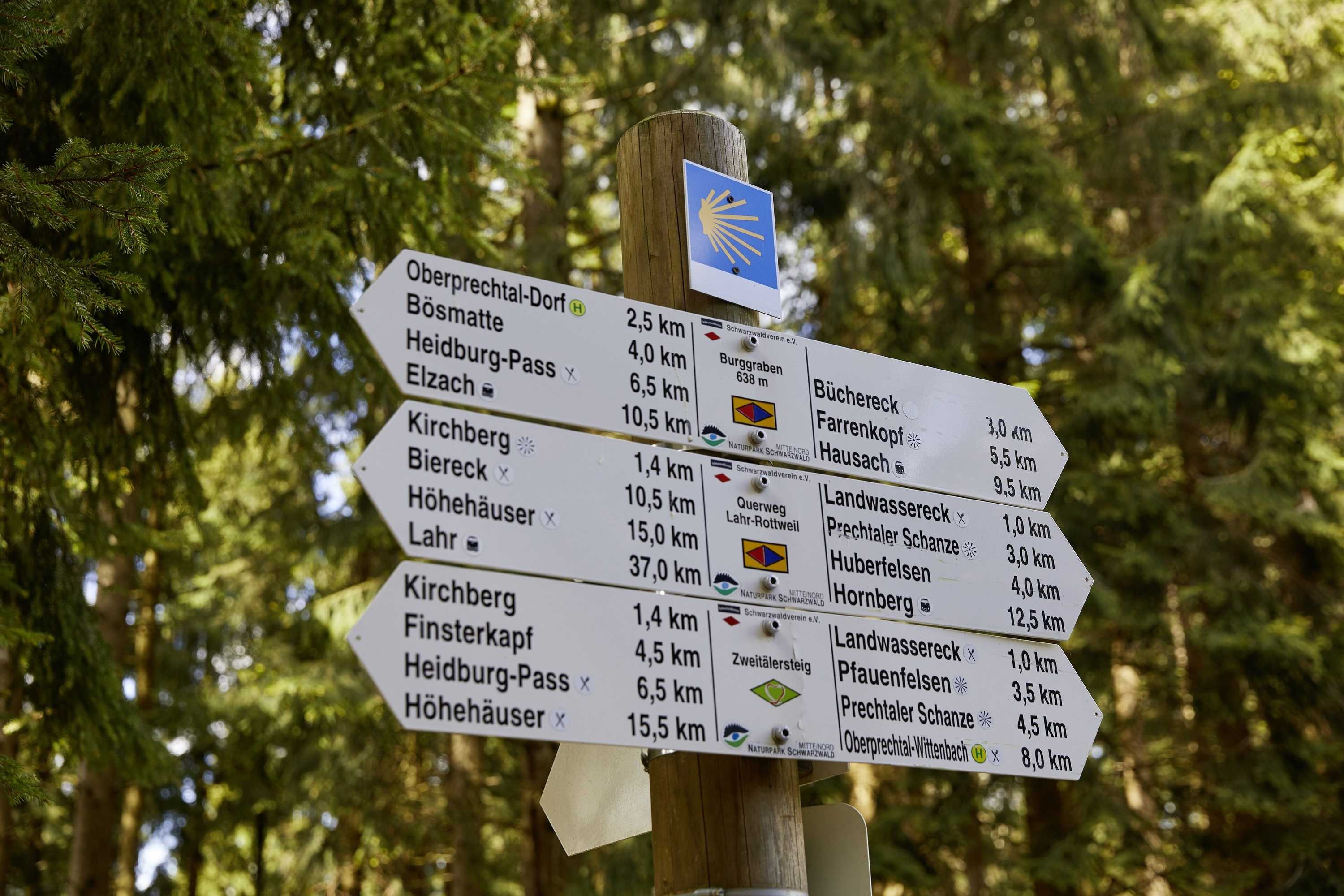 Gift card for Elzland Hotel Pfauen Wellness & Spa