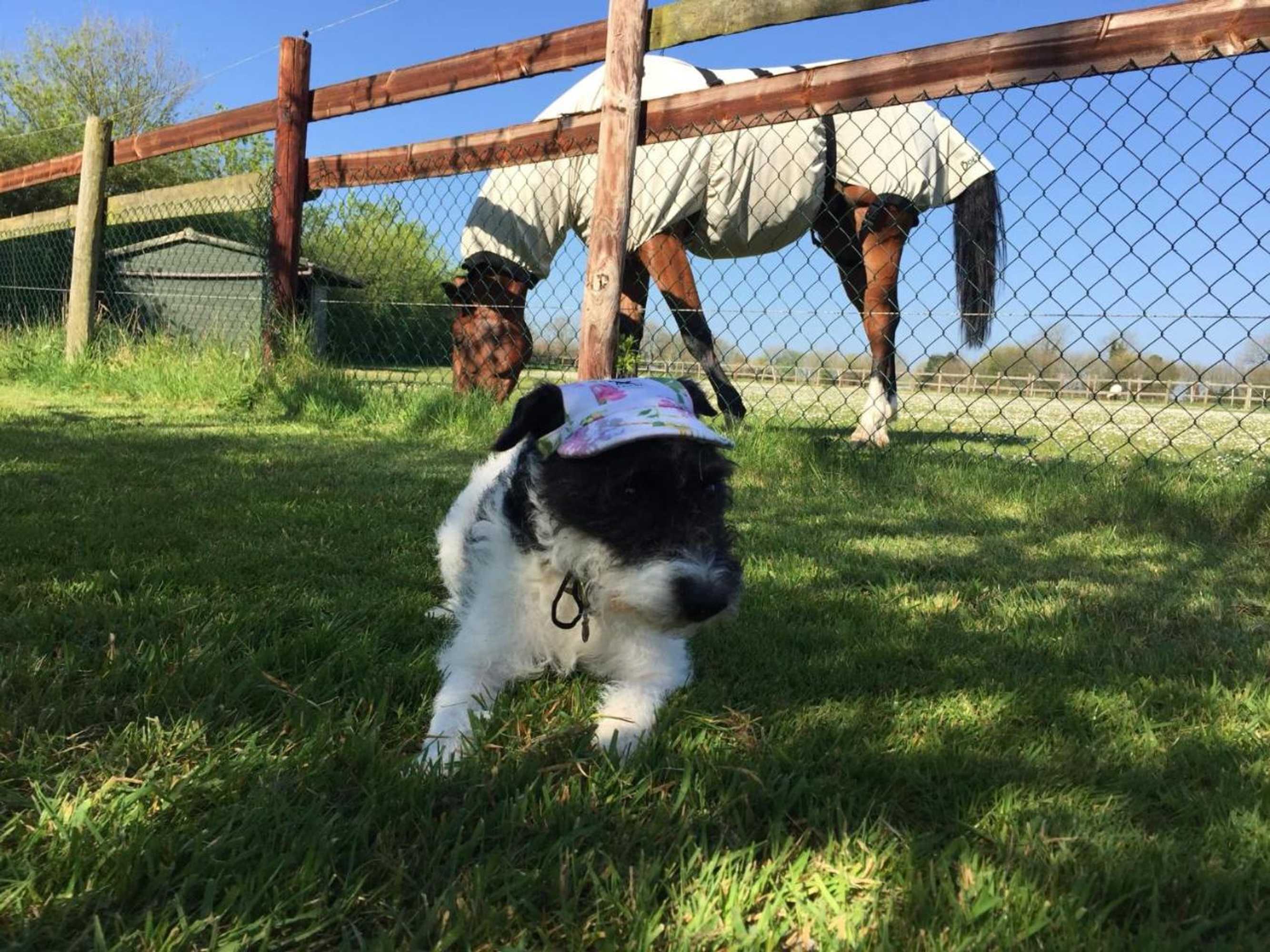 Gift card for The Winning Post, Bruton