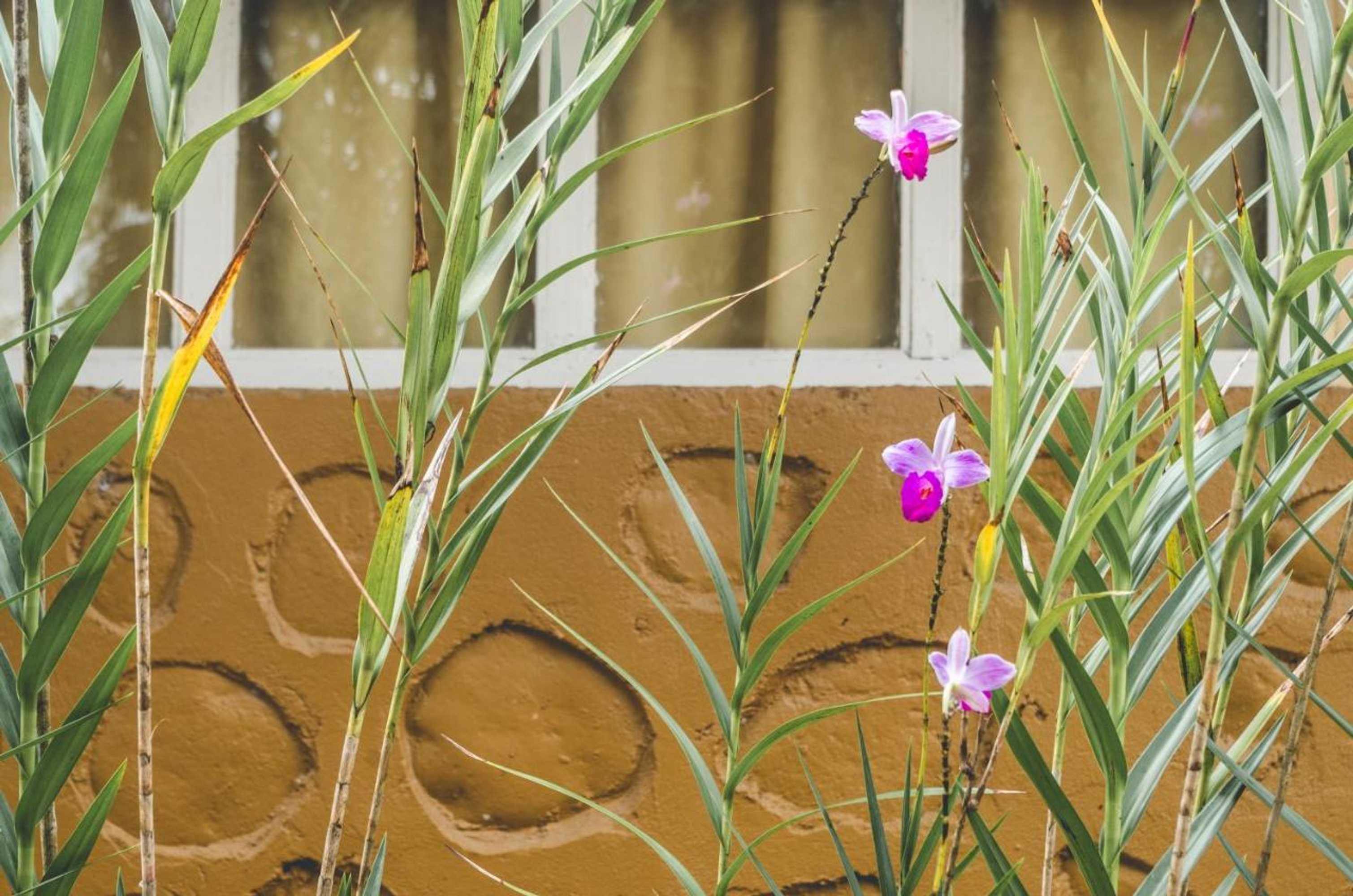 Gift card for Cabinas EL Prado Gift card for Cabinas EL Prado