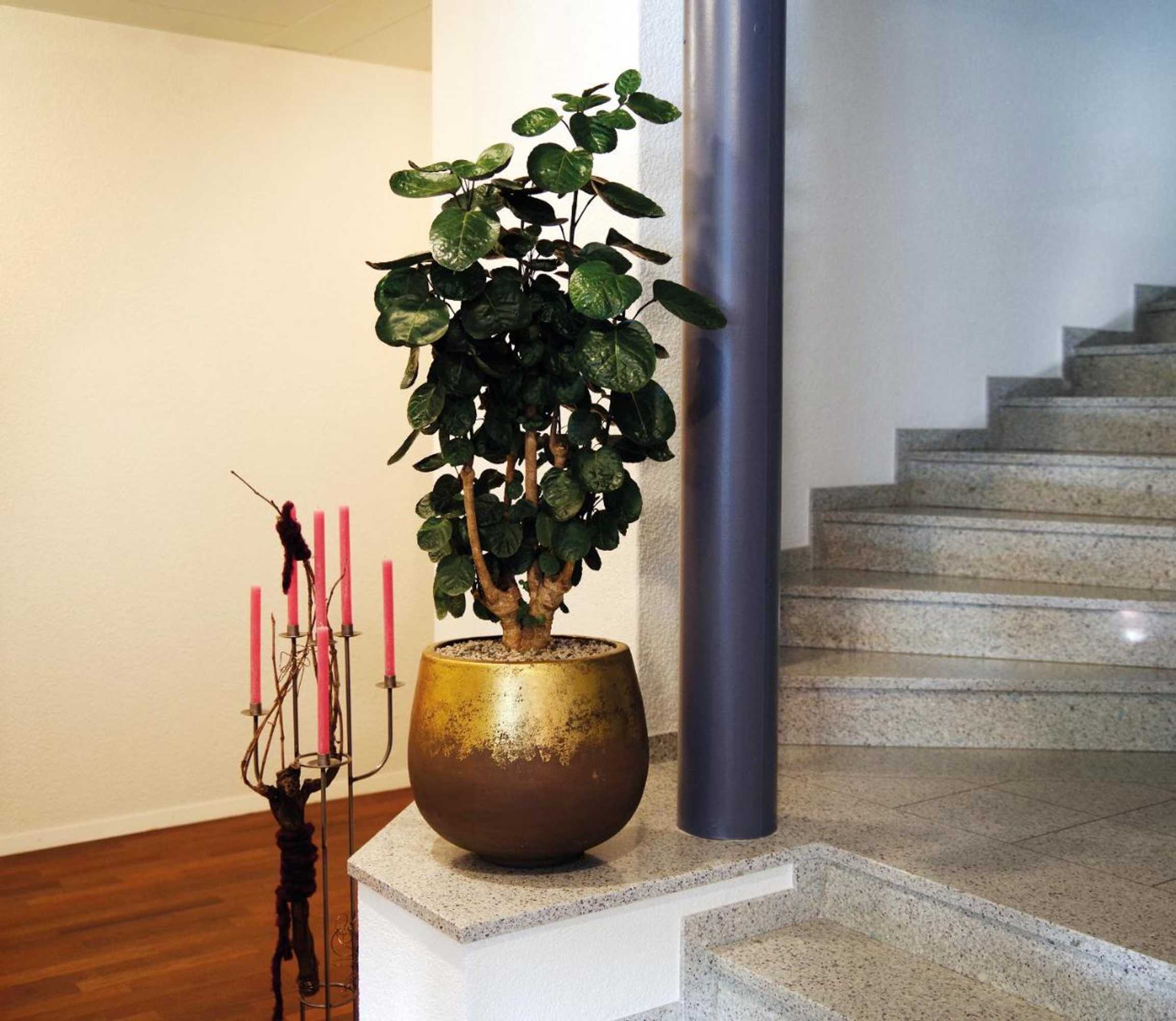 Gift card for Hotel Garni Arnegg