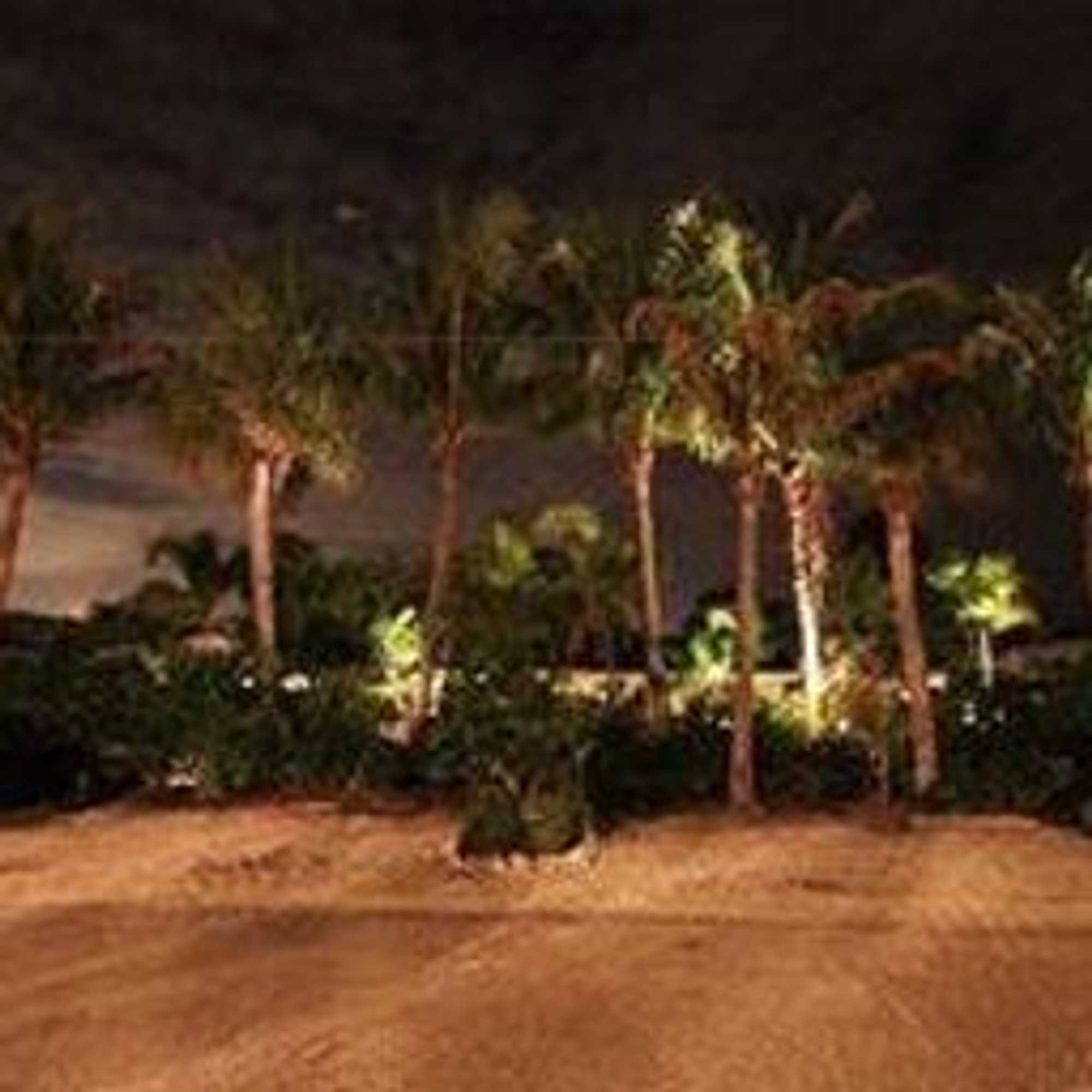 Gift card for An Island Getaway at Palm Tree Villas Gift card for An Island Getaway at Palm Tree Villas
