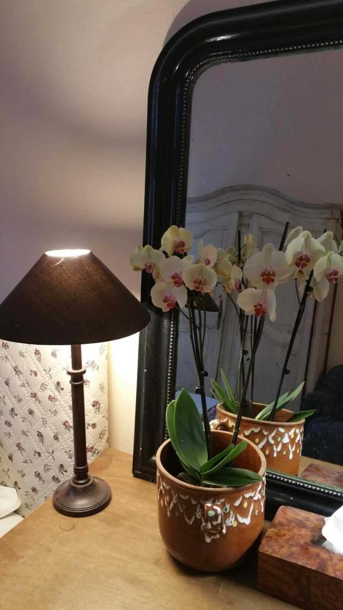 Gift card for Hotel de L Orange