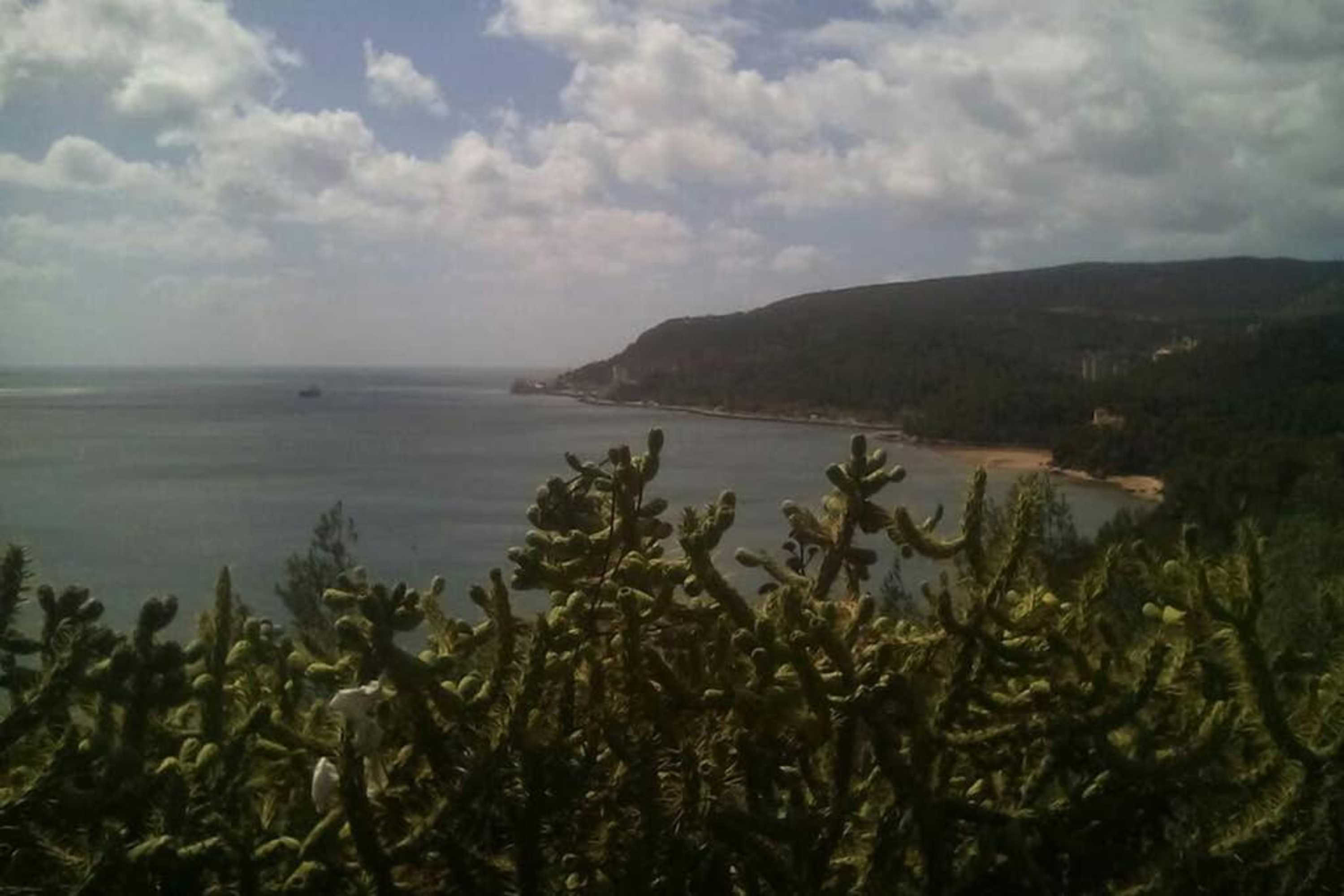 Gift card for Páteo da Memória Casa do Pintor