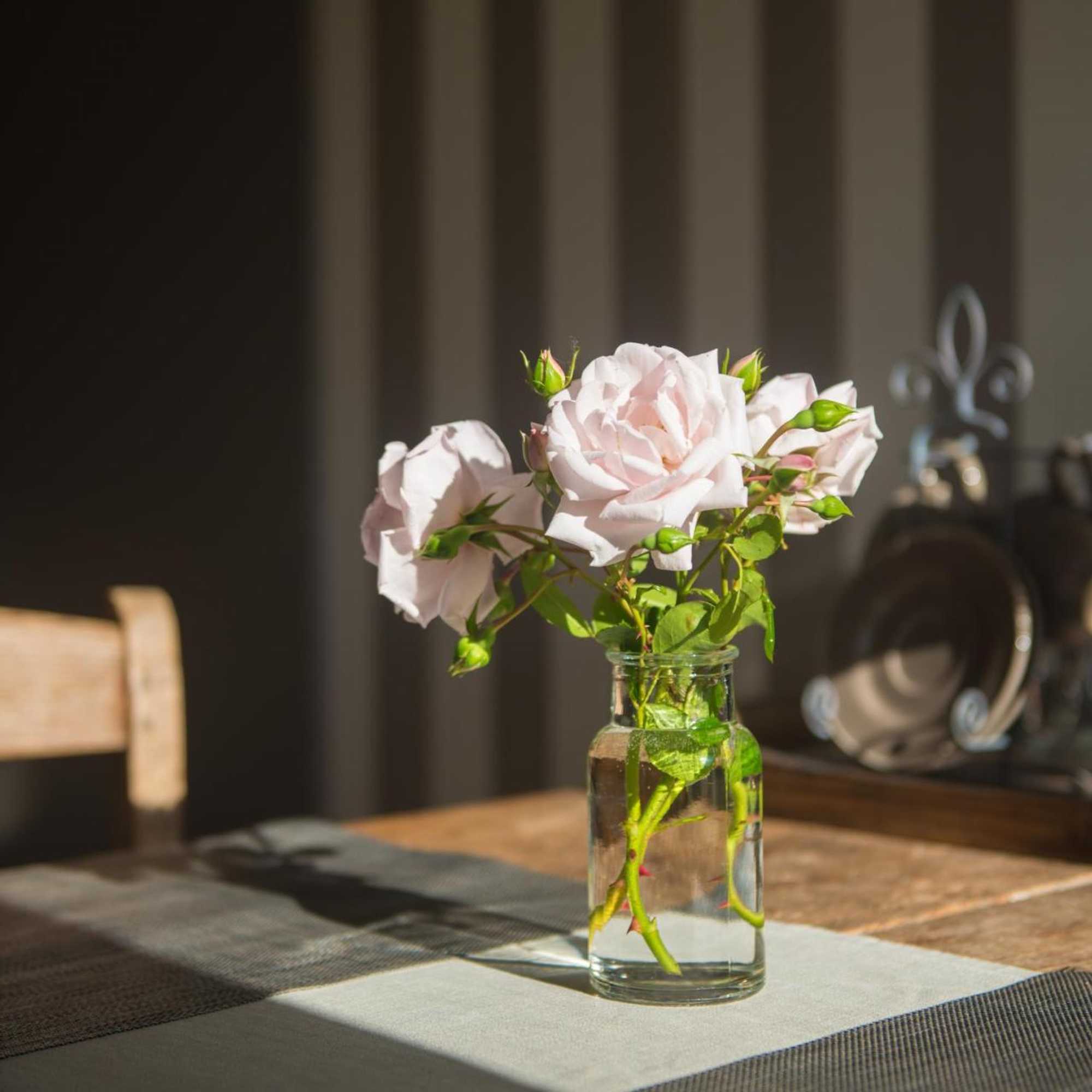 Gift card for Broeks' Bed En Brood