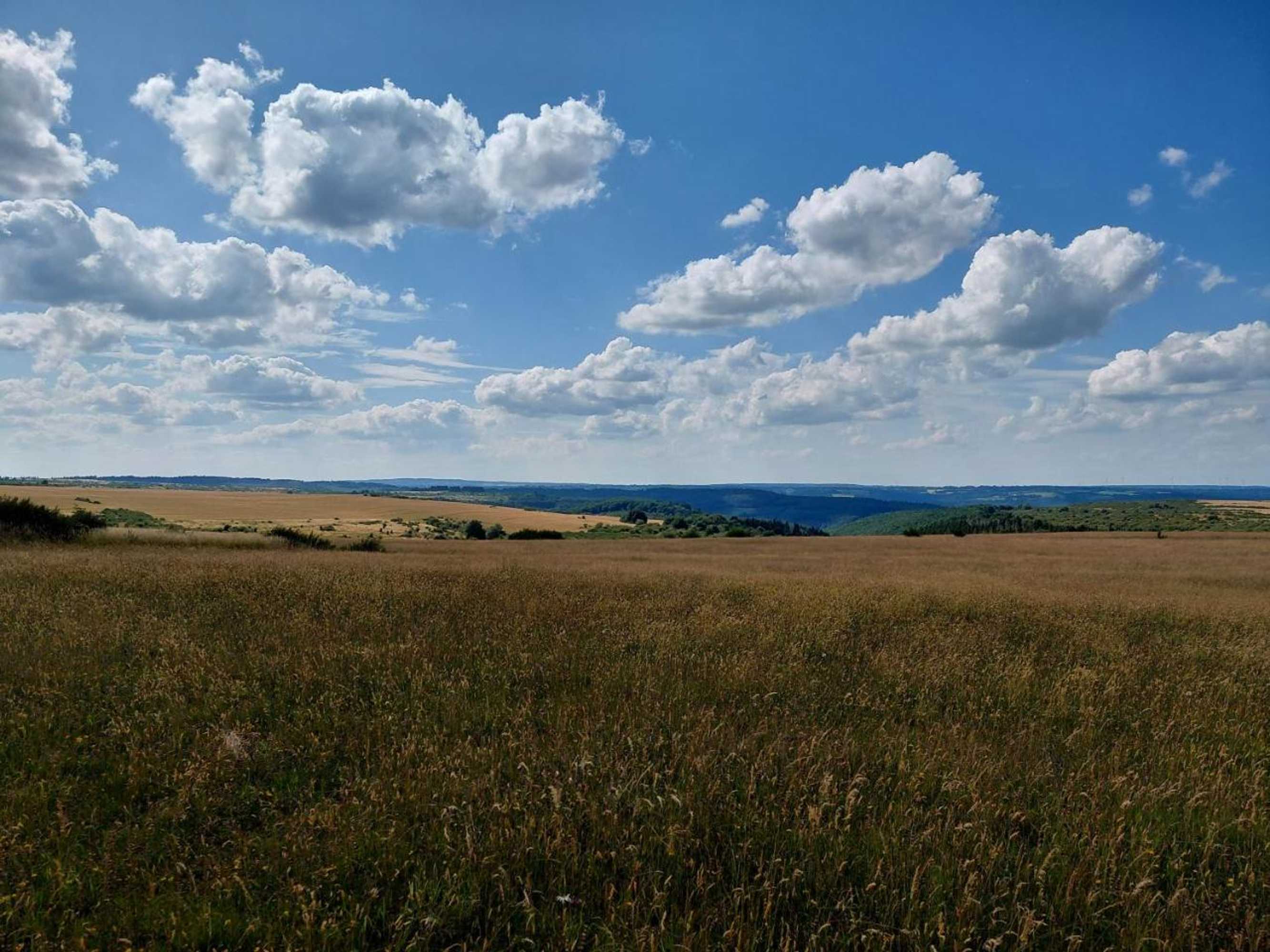 Gift card for Der Hirsch