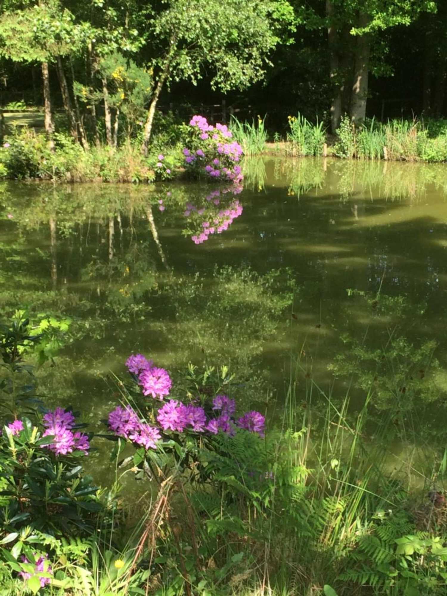 Gift card for The Firs