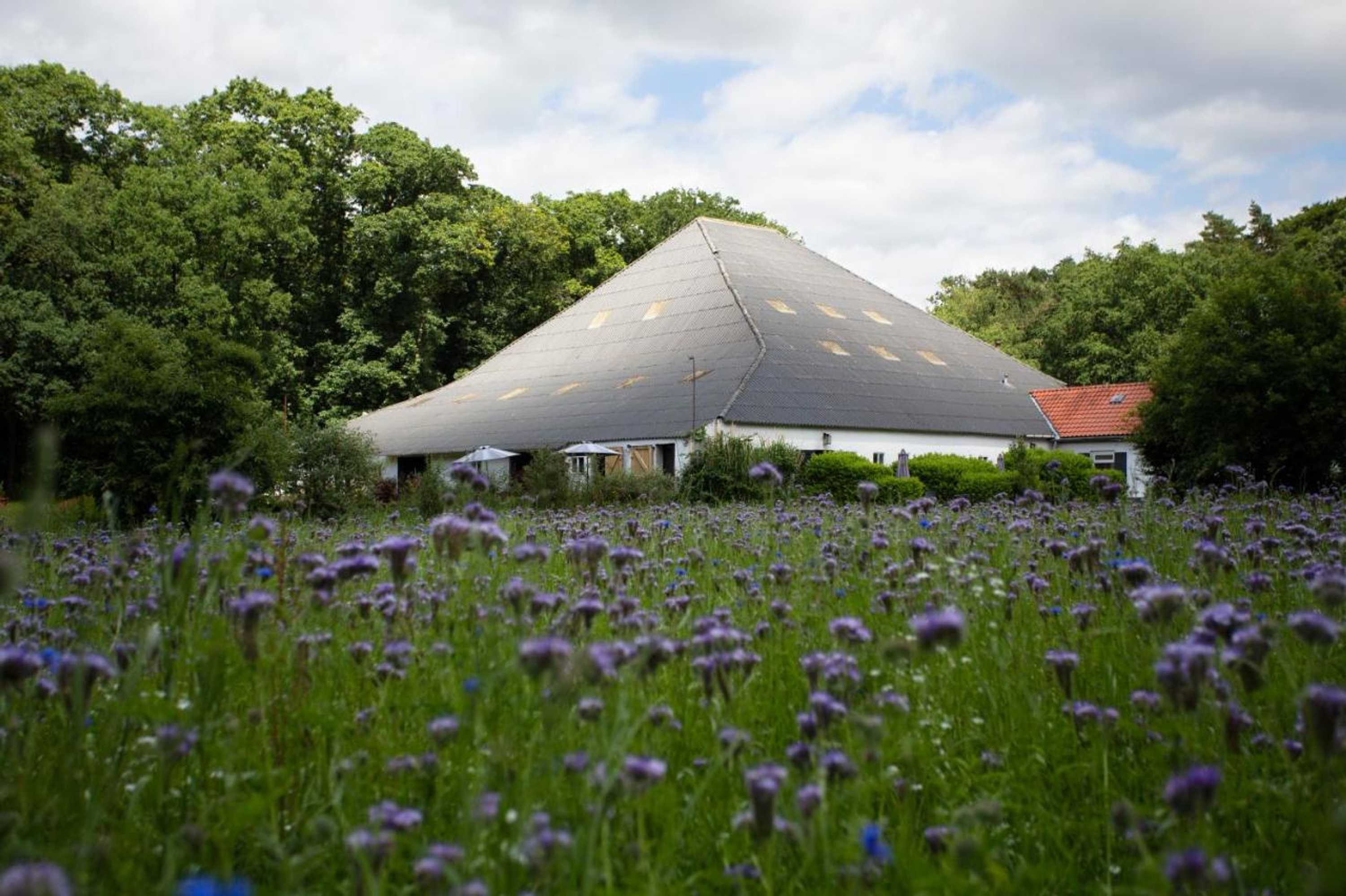 Gift card for Adelaerthoeve Logies & Ontbijt