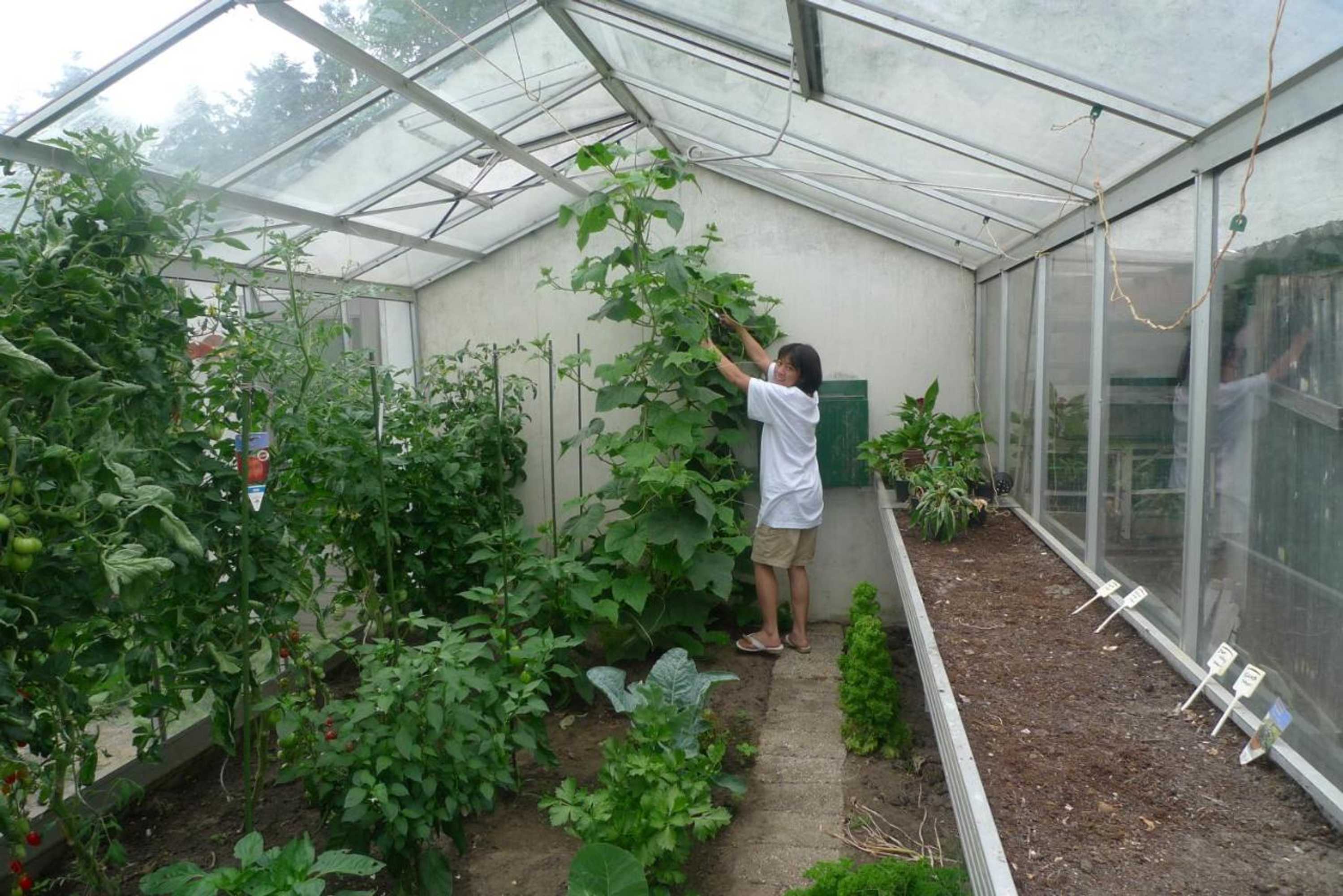 Gift card for B&b De Kleine Wijngaard