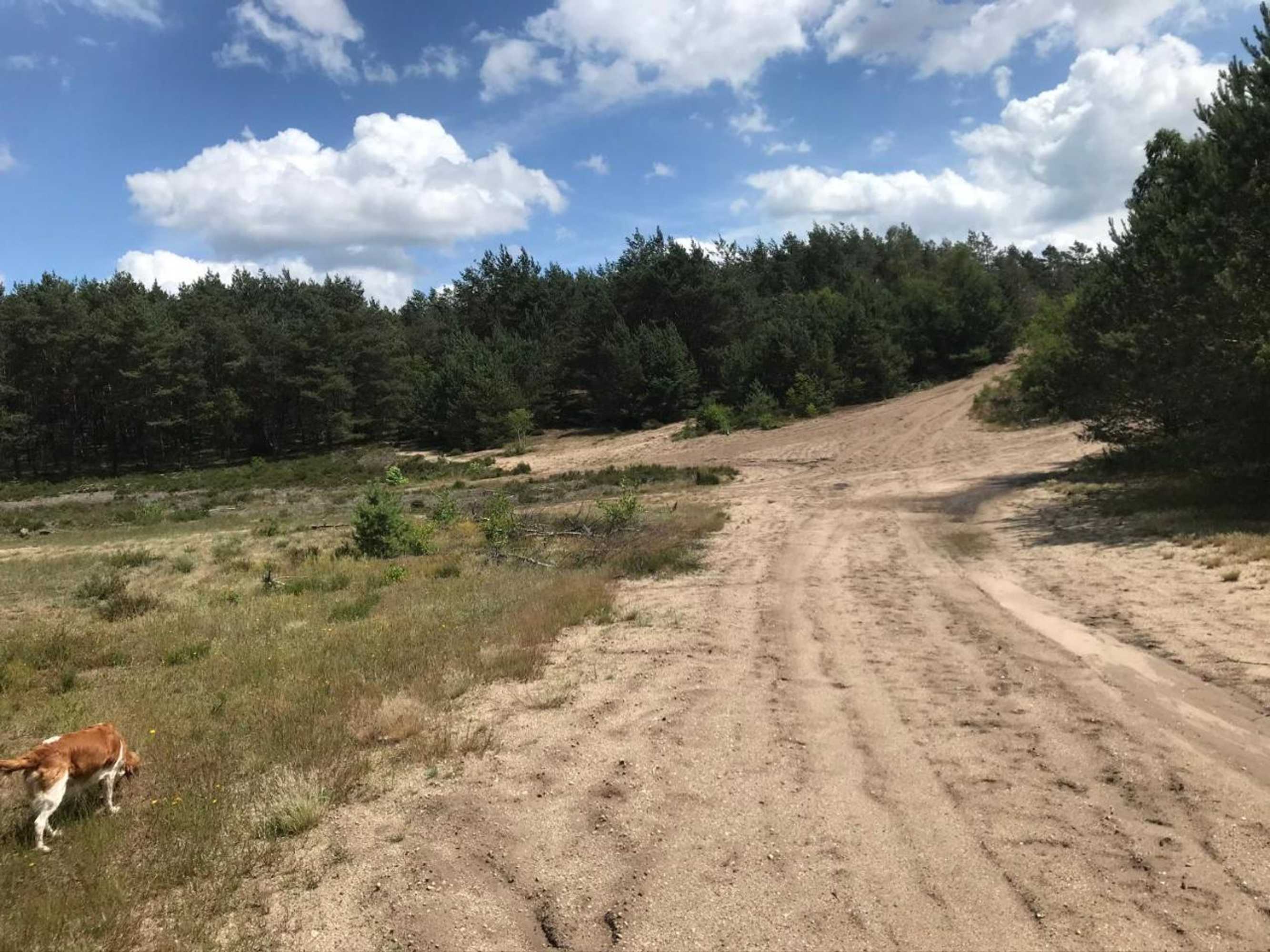 Gift card for 't Heidepaleis