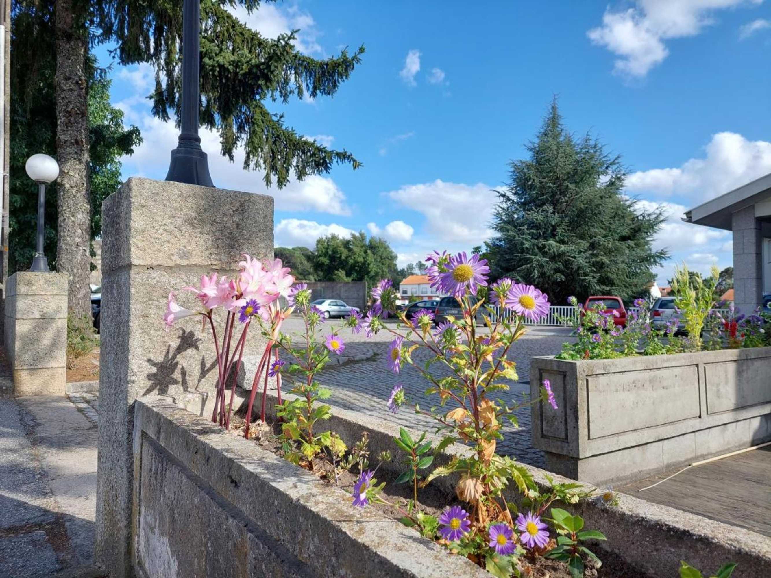 Gift card for Hotel Cruz DA Mata Gift card for Hotel Cruz DA Mata