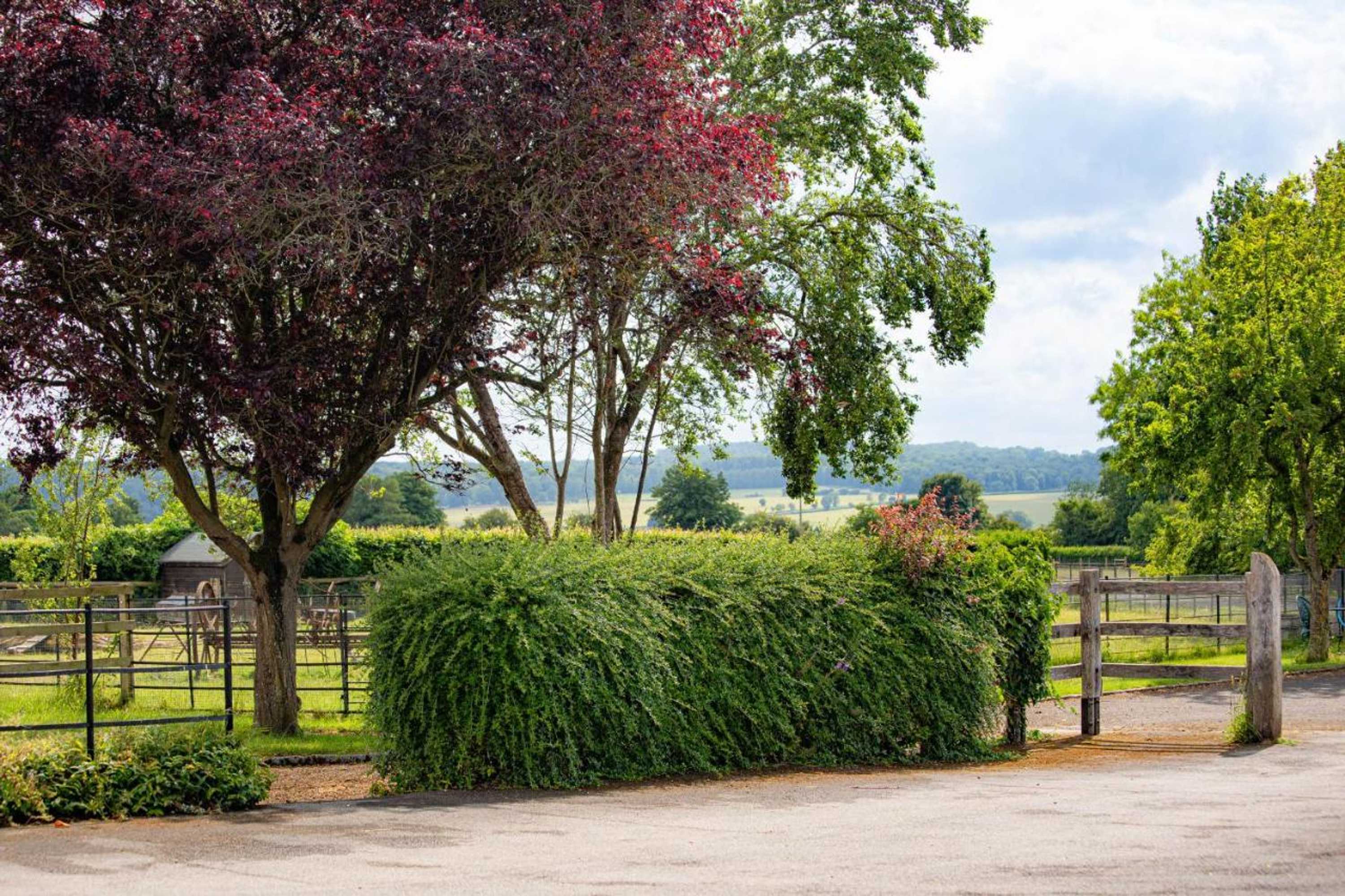 Gift card for Banbury Hill Farm