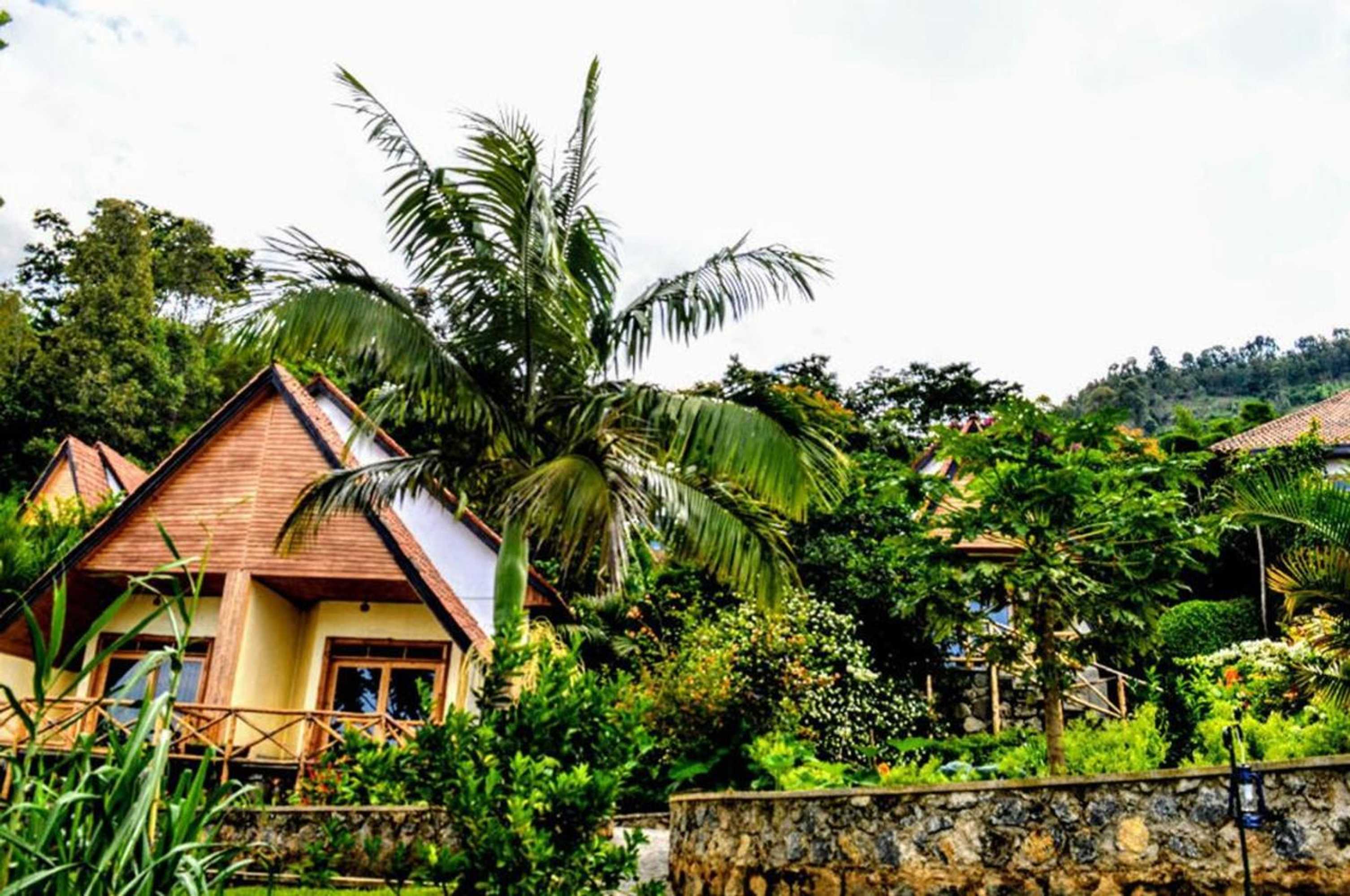 Gift card for Paradise Kivu Gift card for Paradise Kivu