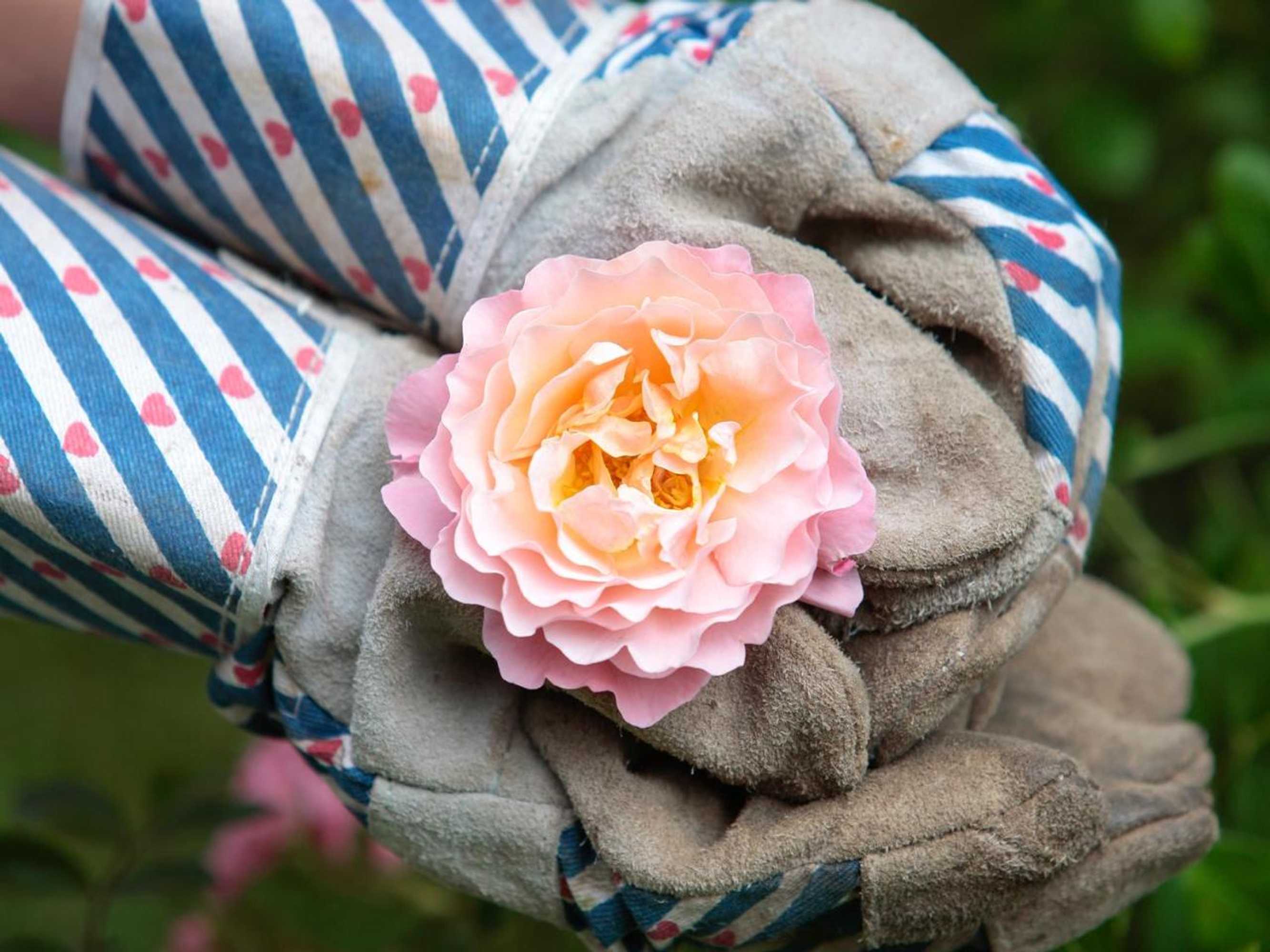 Gift card for City Boutique Ster Logies Leeuwarden De