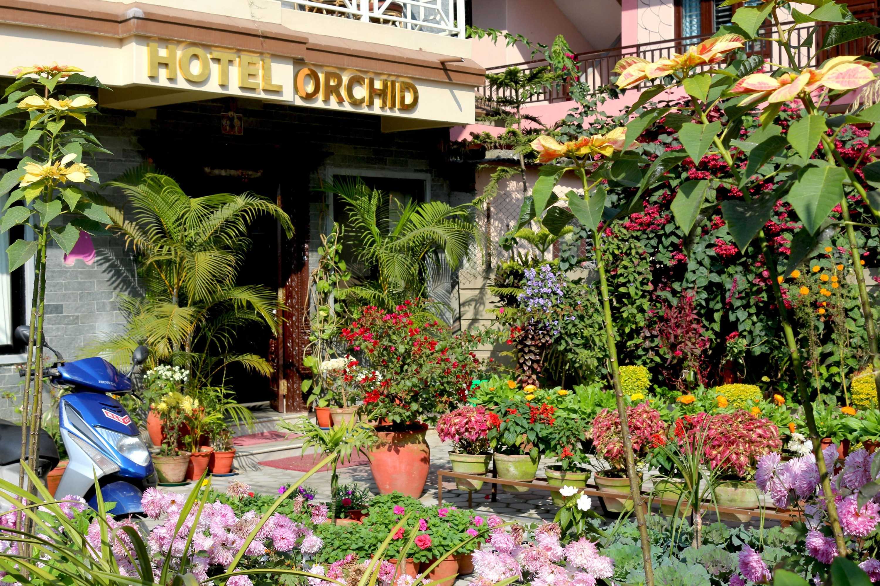 Gift card for Hotel Orchid Gift card for Hotel Orchid