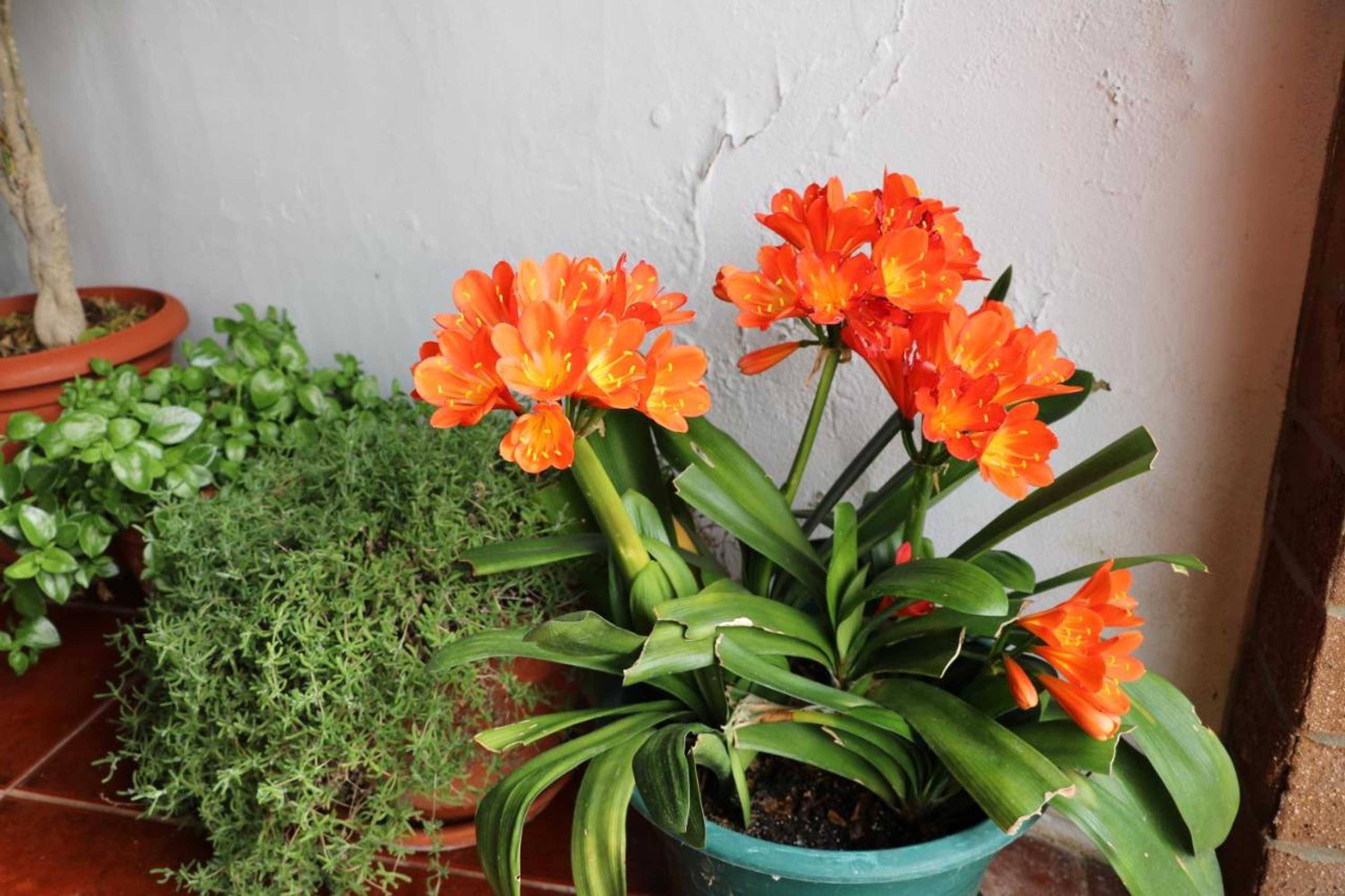 Gift card for C M Casa de Mares Alojamento Local