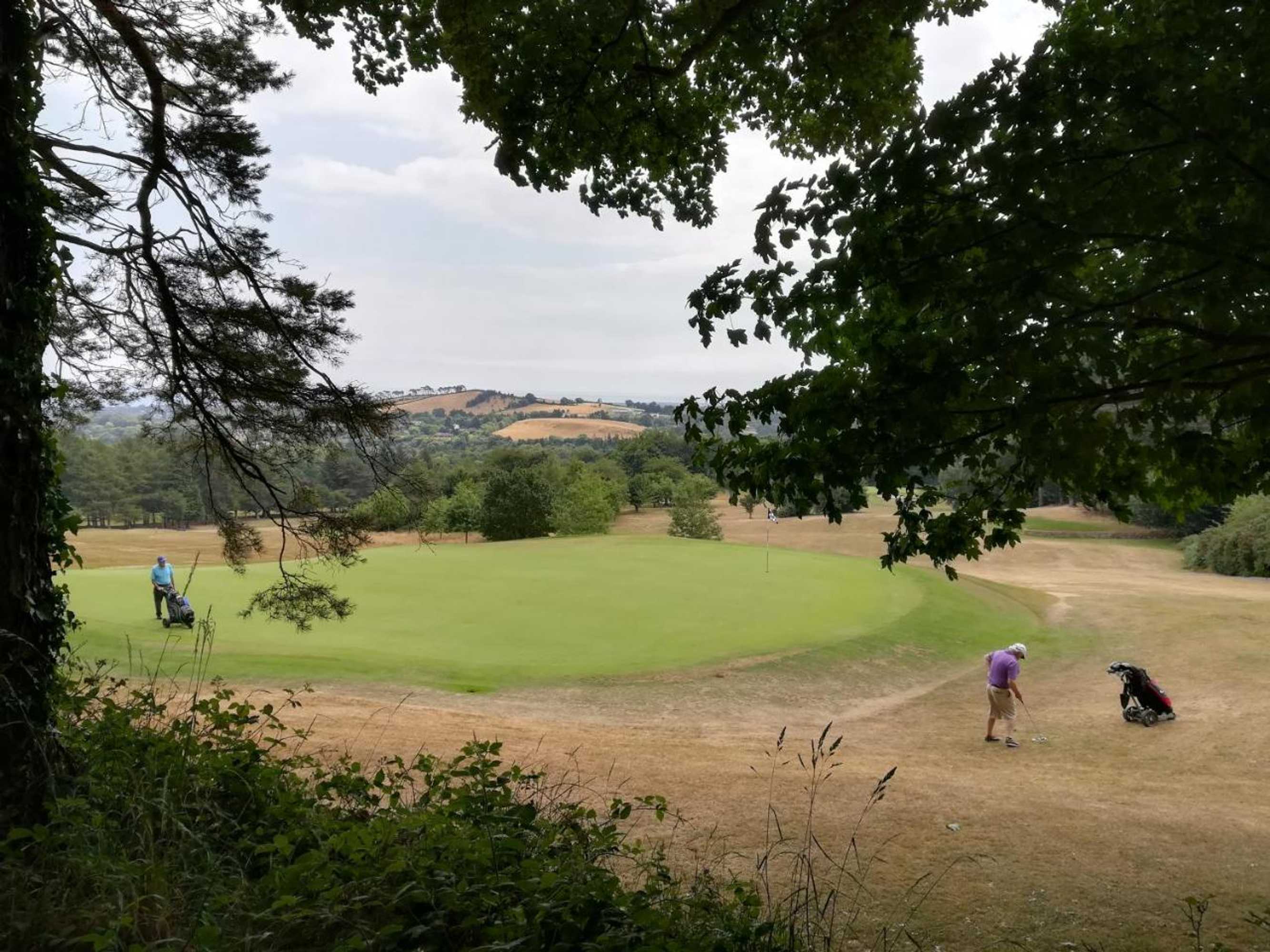 Gift card for Relaxing Space.