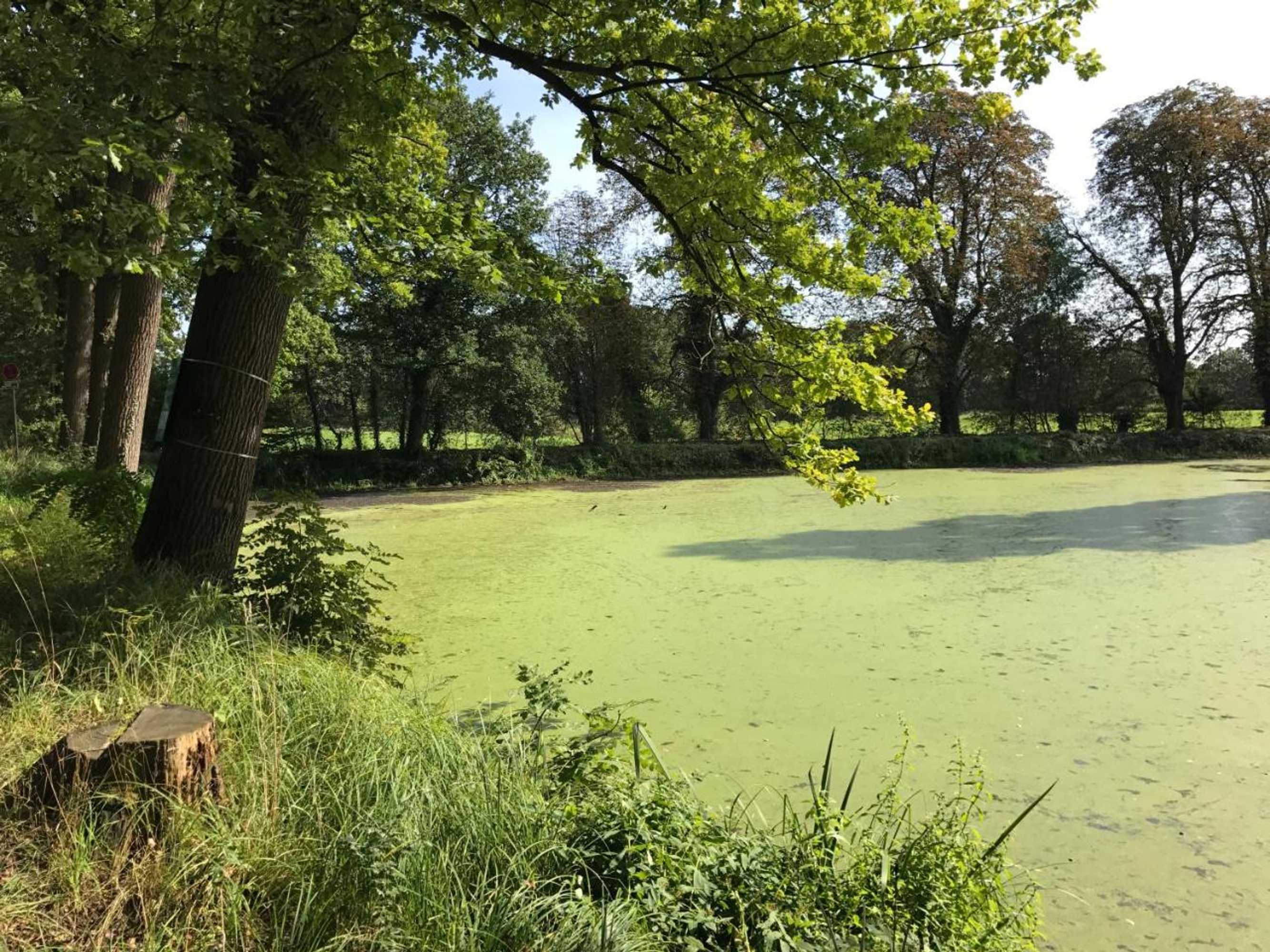 Gift card for Hotel Rheinischer Hof