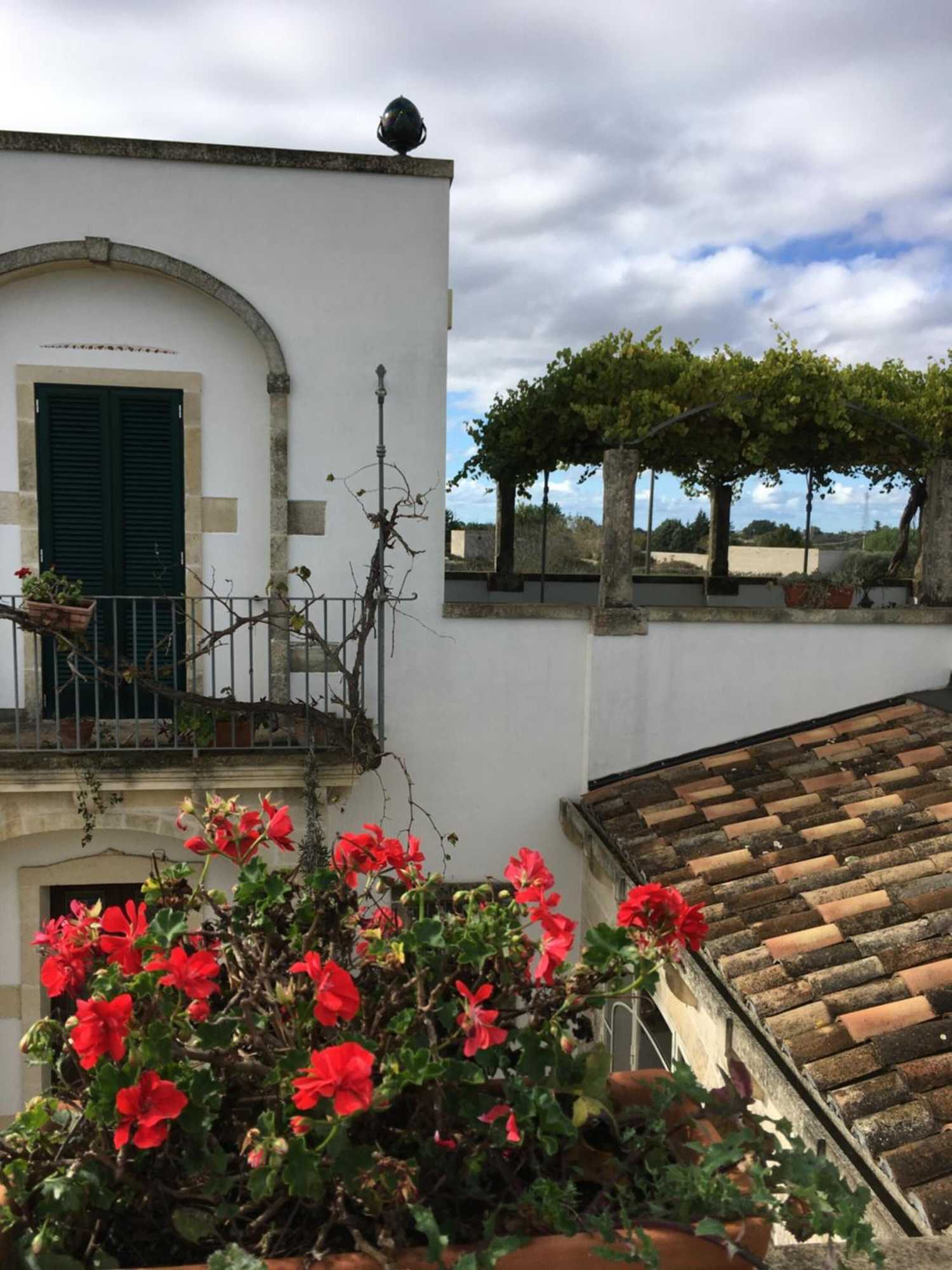 Gift card for Corte Dei Salentini Bed & Breakfast Gift card for Corte Dei Salentini Bed & Breakfast