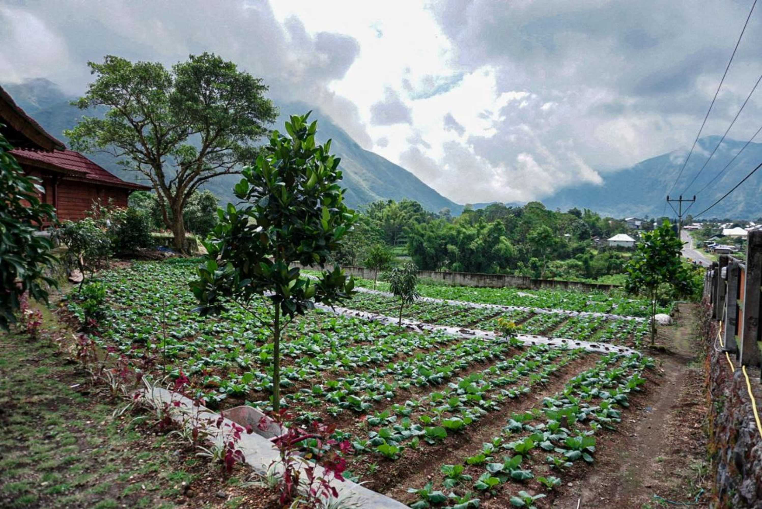 Gift card for Rinjani Hill Hotel