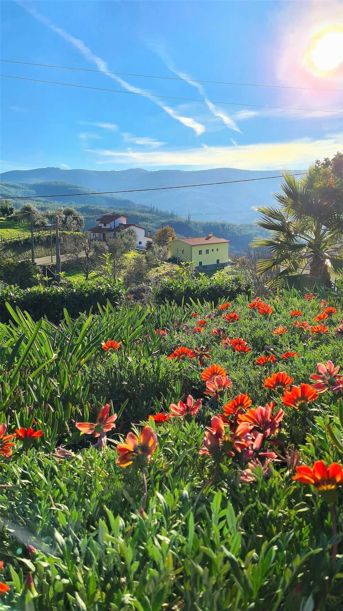 Gift card for Quinta da Palmeira - Country House Retreat & Spa Gift card for Quinta da Palmeira - Country House Retreat & Spa
