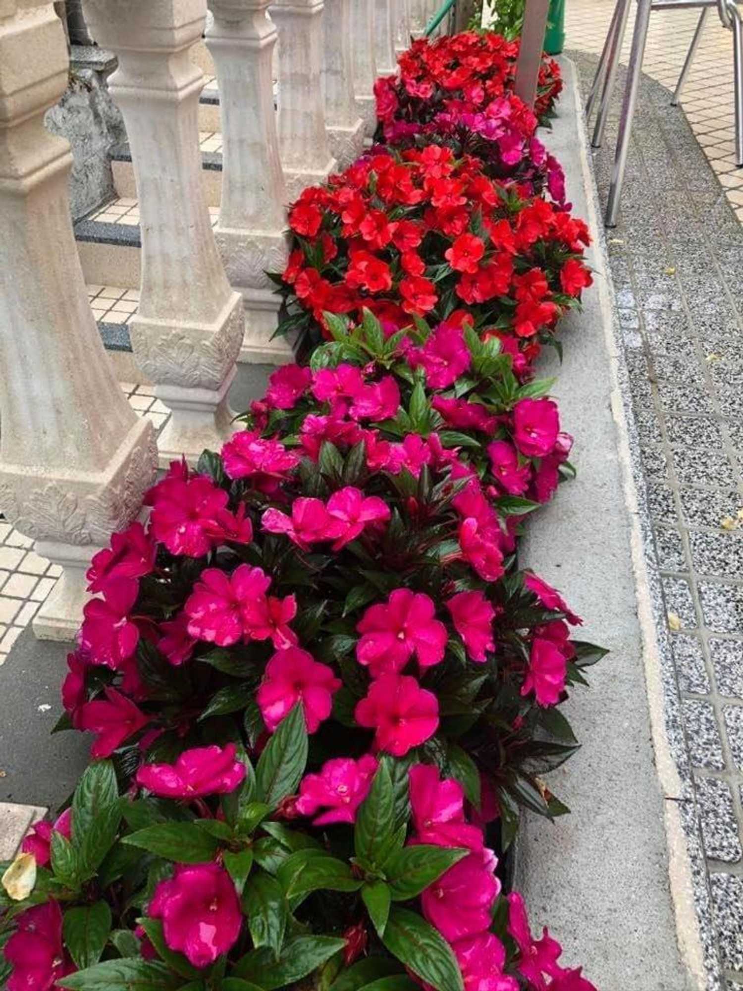 Gift card for Residencial Celeste