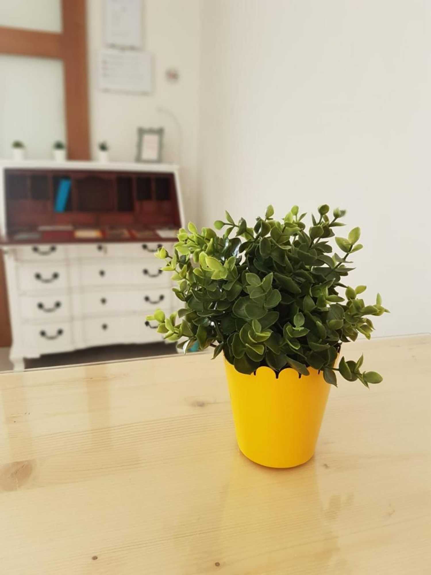 Gift card for Jacob's Hostel Tui