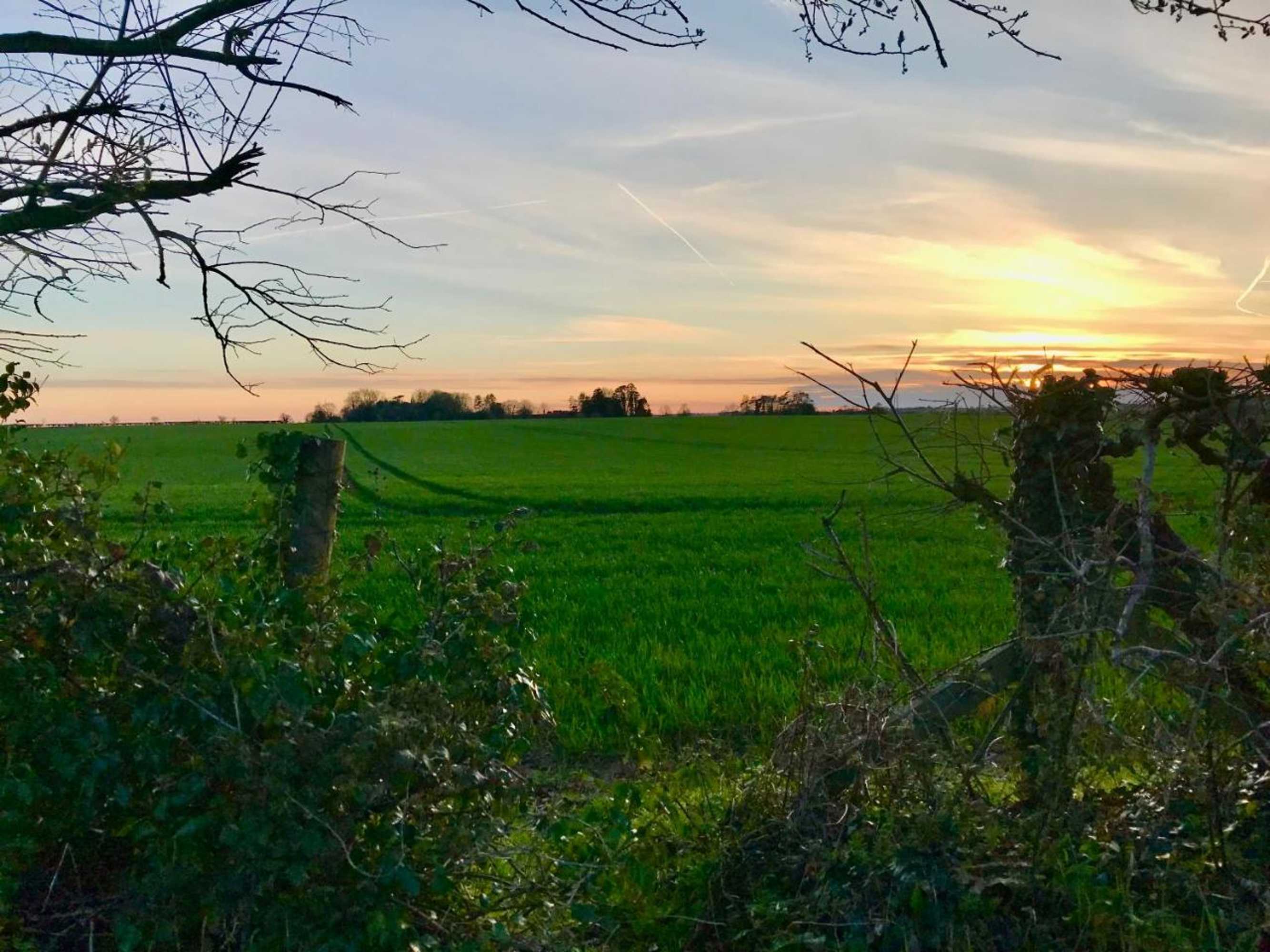 Gift card for The Queen Matilda Country Rooms