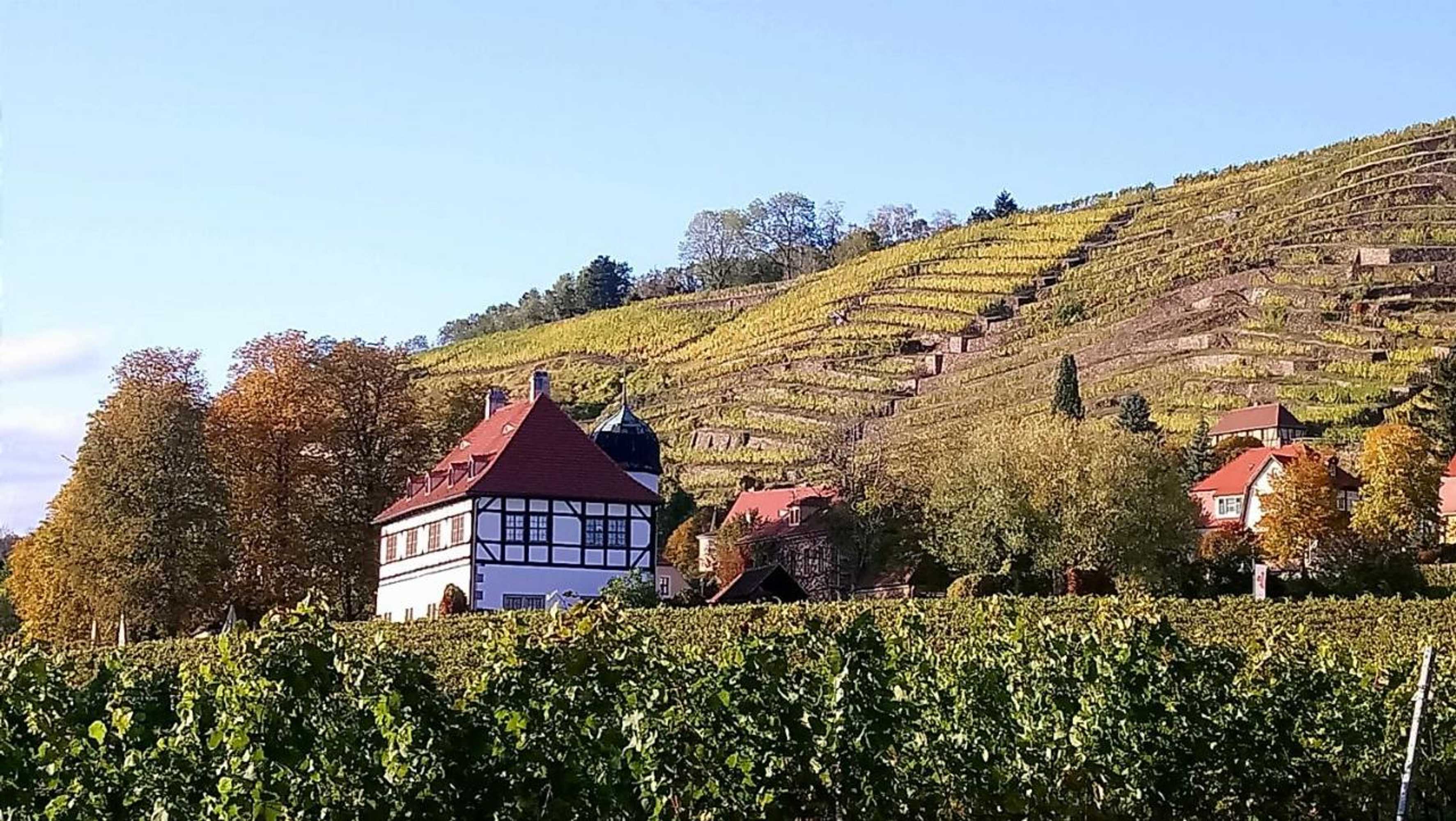 Gift card for Bauwagen Villa Maibeere