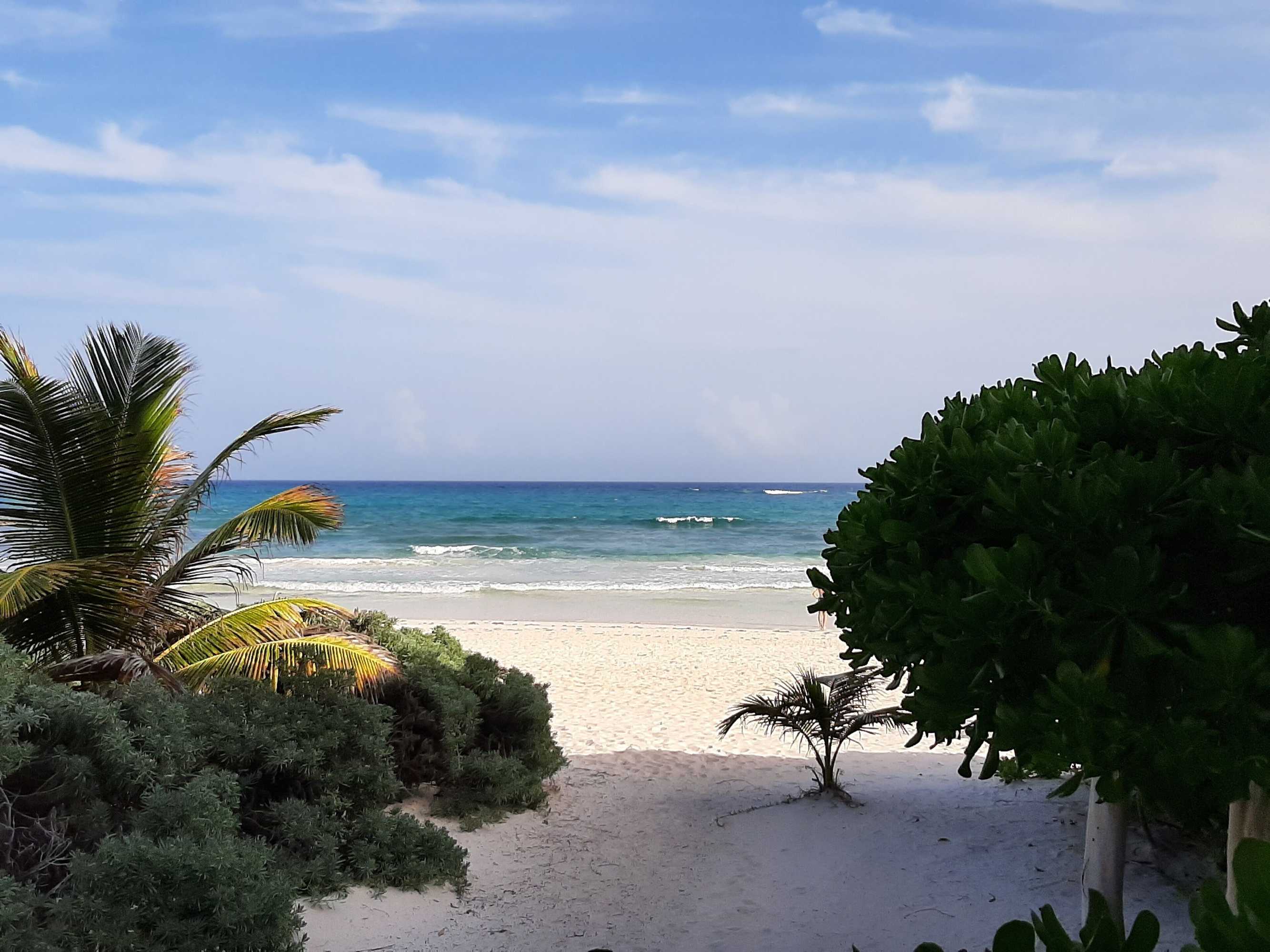 Gift card for Hotel Roc Luxe Tulum - Adults Only Gift card for Hotel Roc Luxe Tulum - Adults Only