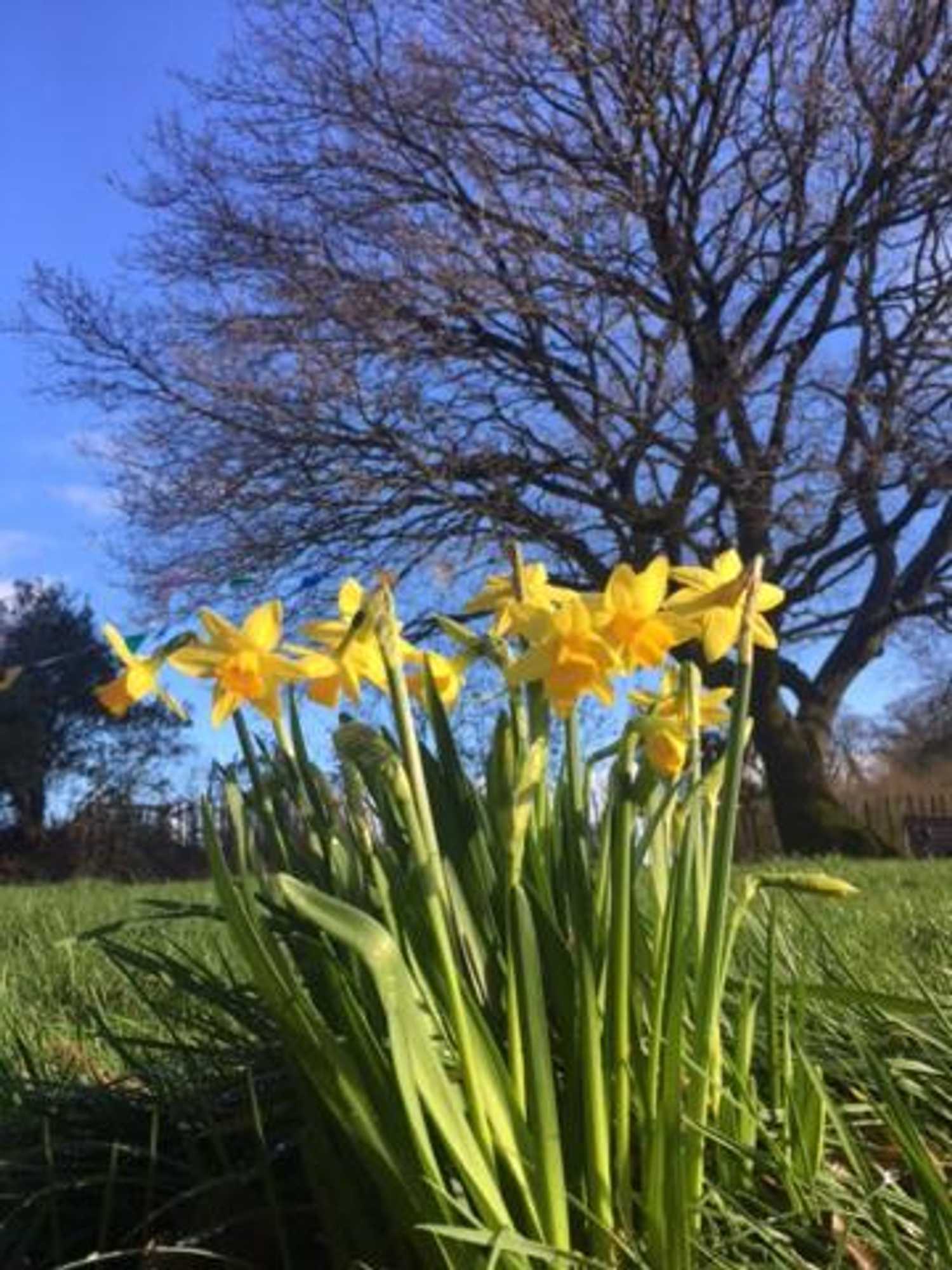 Gift card for Heronshaw House