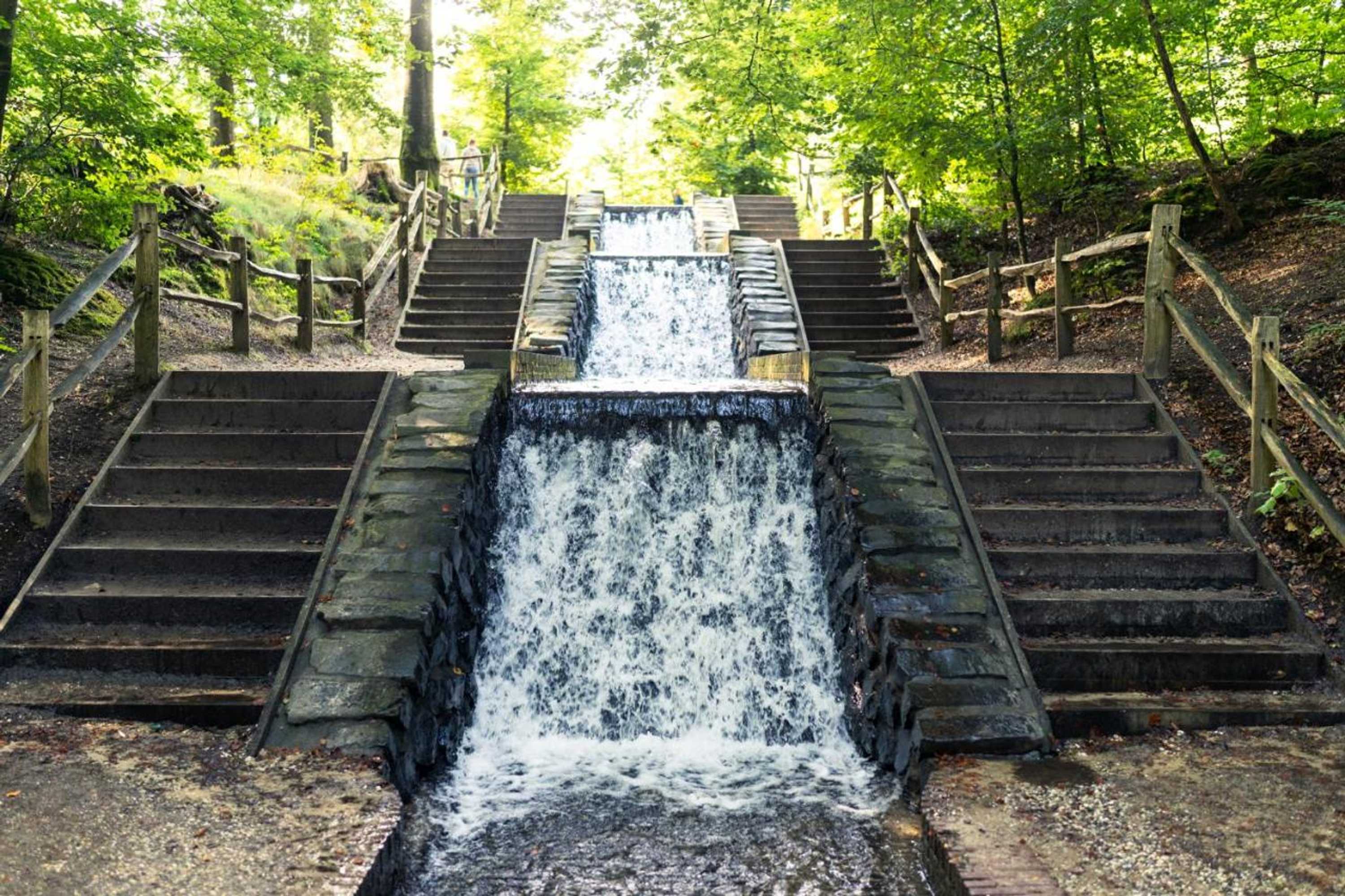 Gift card for Hotel Restaurant 