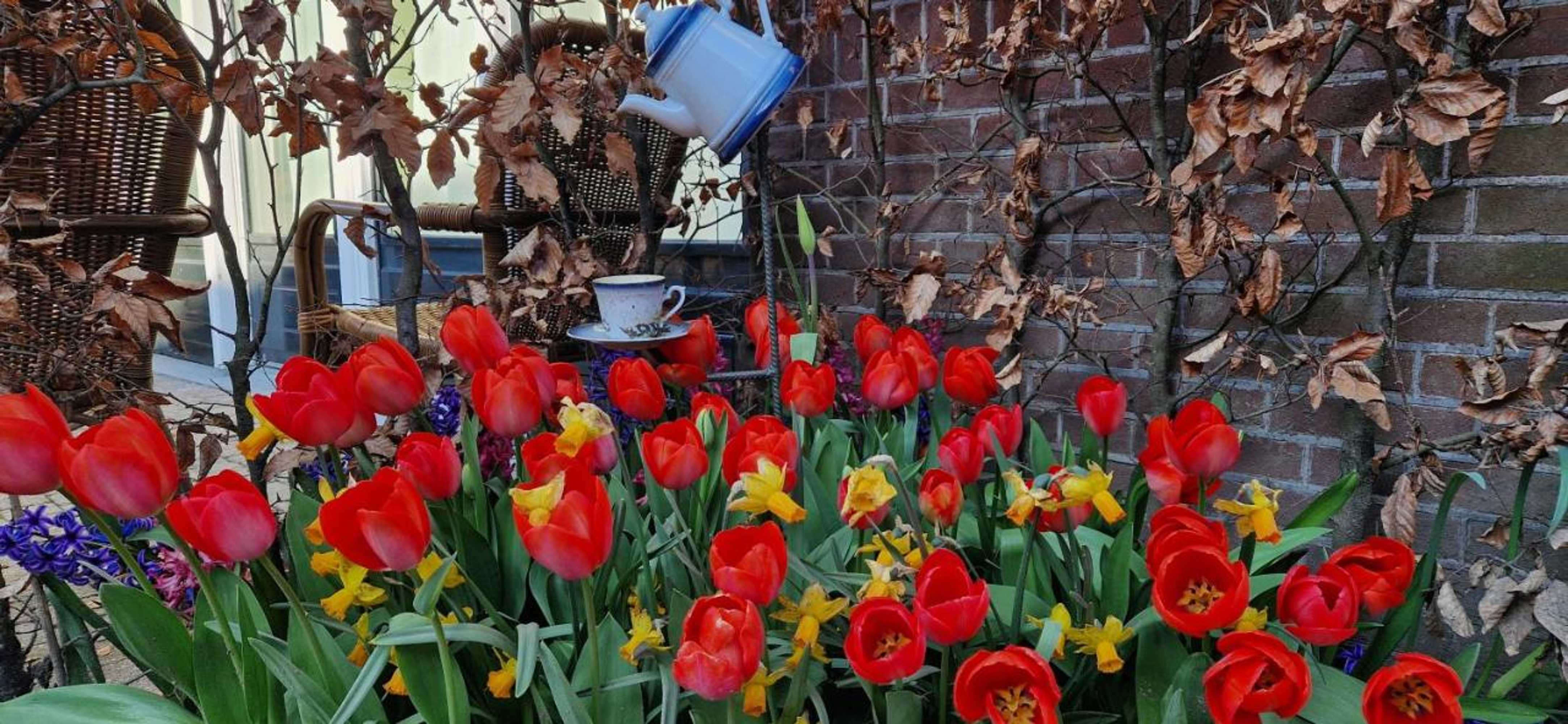 Gift card for Hotel Heere