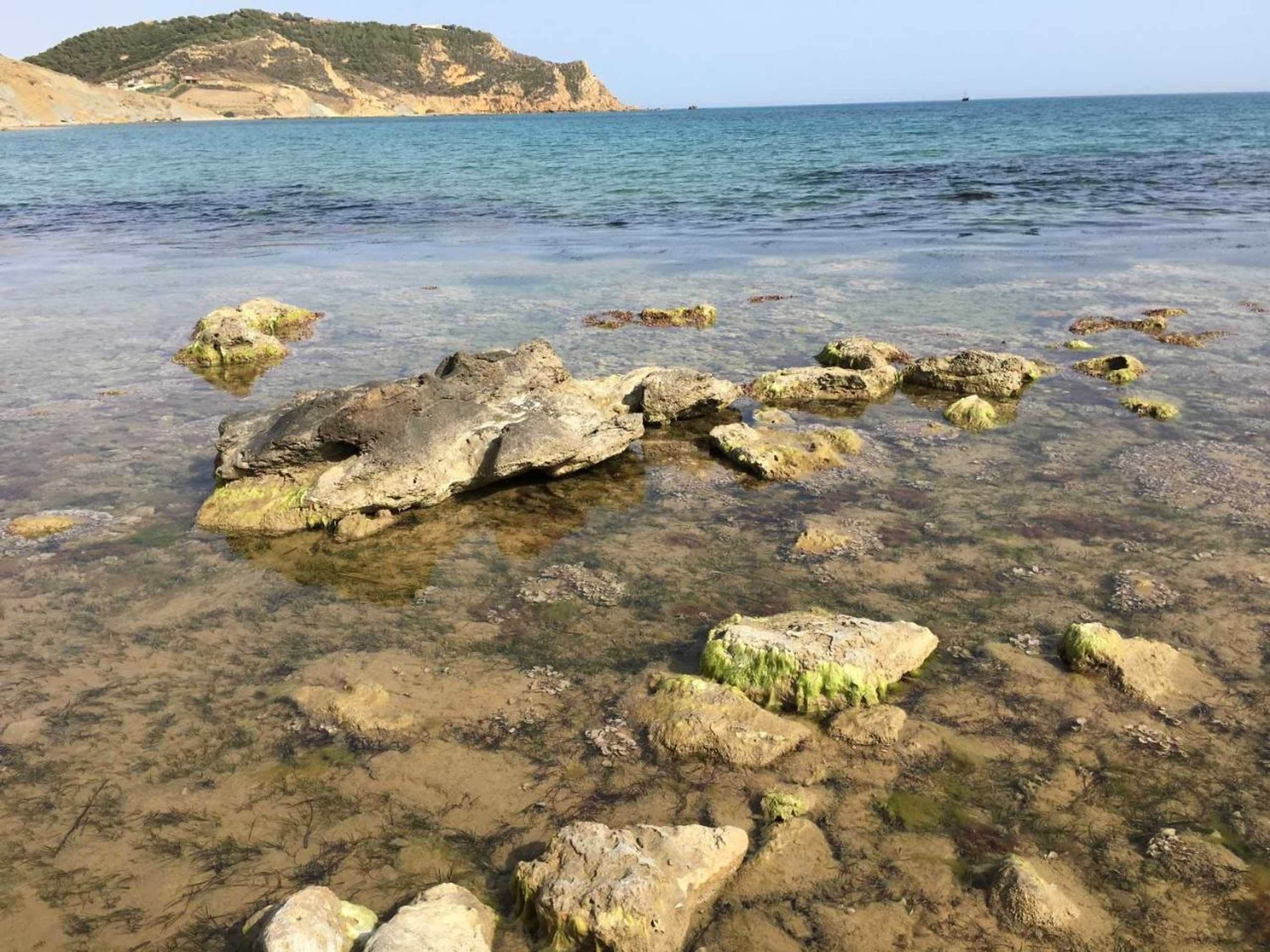 Gift card for La Bianca Scogliera