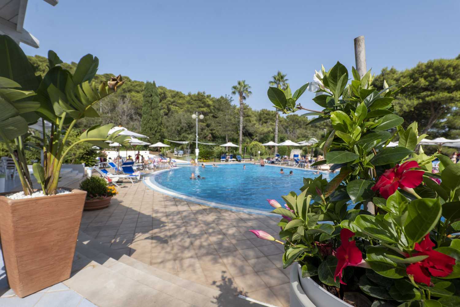 Gift card for Hotel Santa Lucia