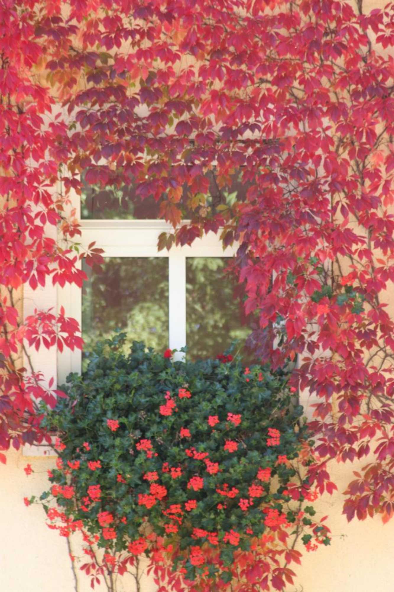 Gift card for Landhaus Heidehof