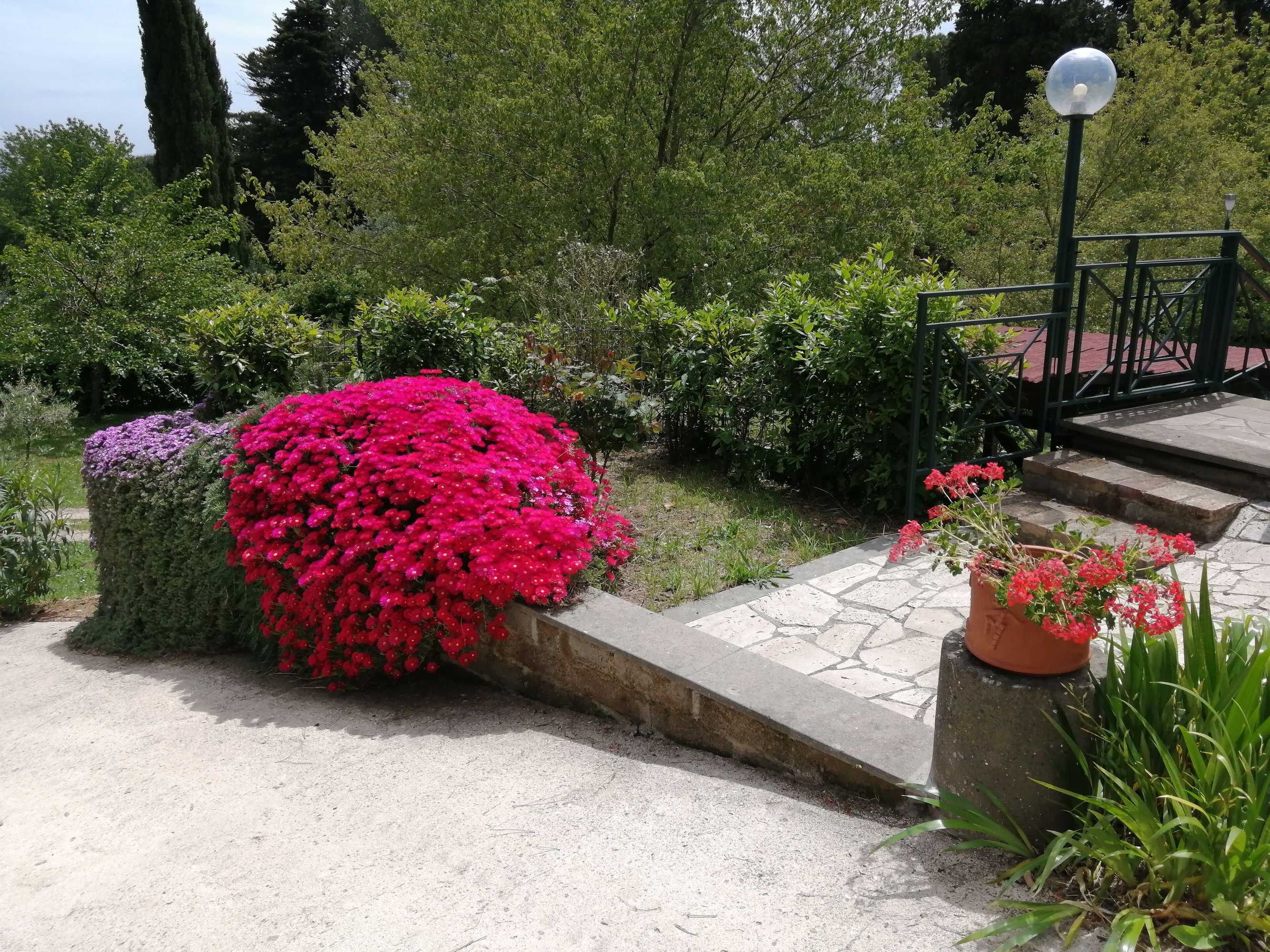 Gift card for B&b Vigna Dell'agrifoglio Gift card for B&b Vigna Dell'agrifoglio