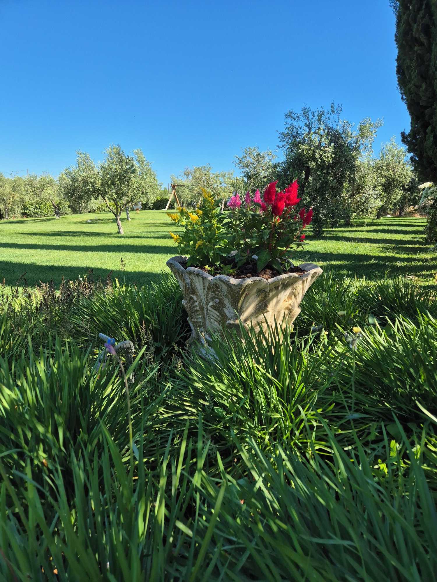 Gift card for Agriturismo Il Migliarino