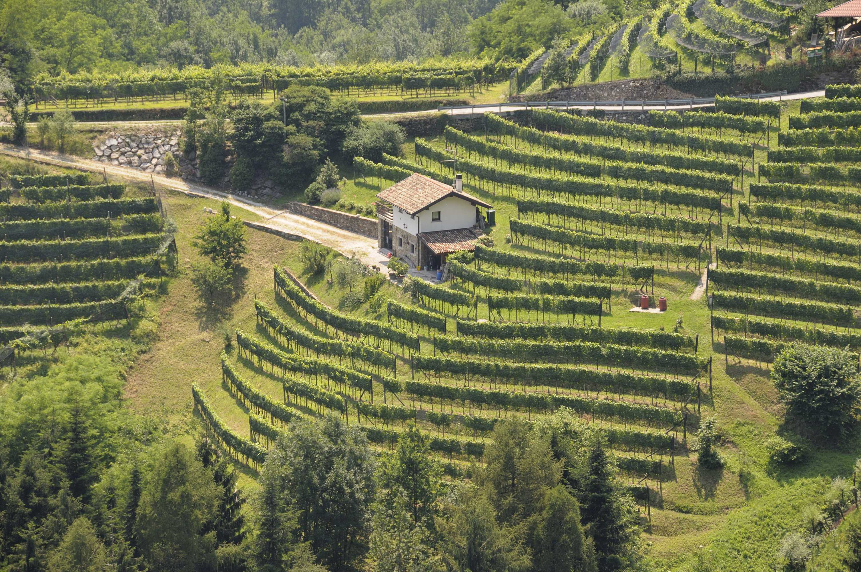 Gift card for Agriturismo I Comelli