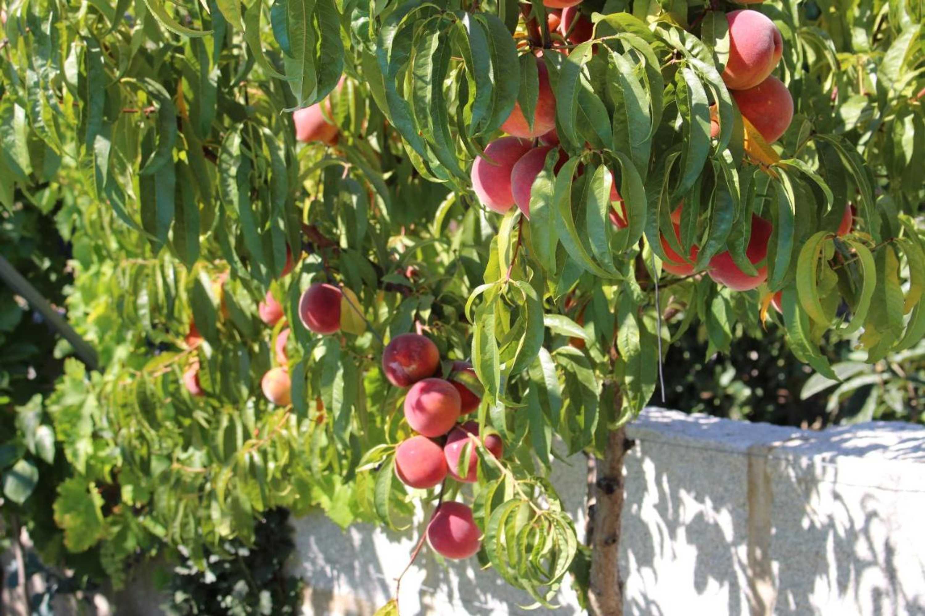 Gift card for Casa De Vale Benfeito