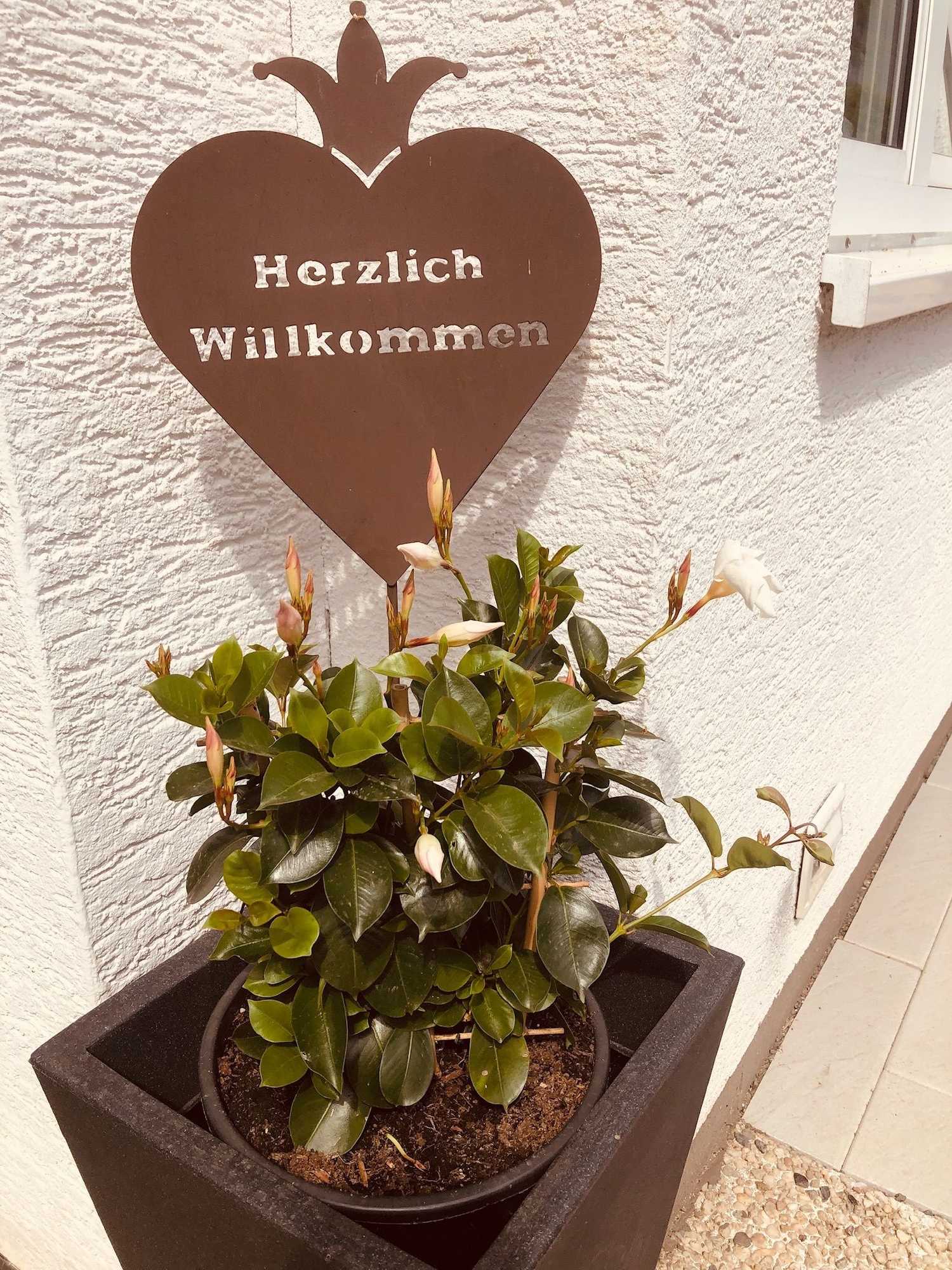 Gift card for Ferienweingut Peter-Jos. Hauth Gift card for Ferienweingut Peter-Jos. Hauth