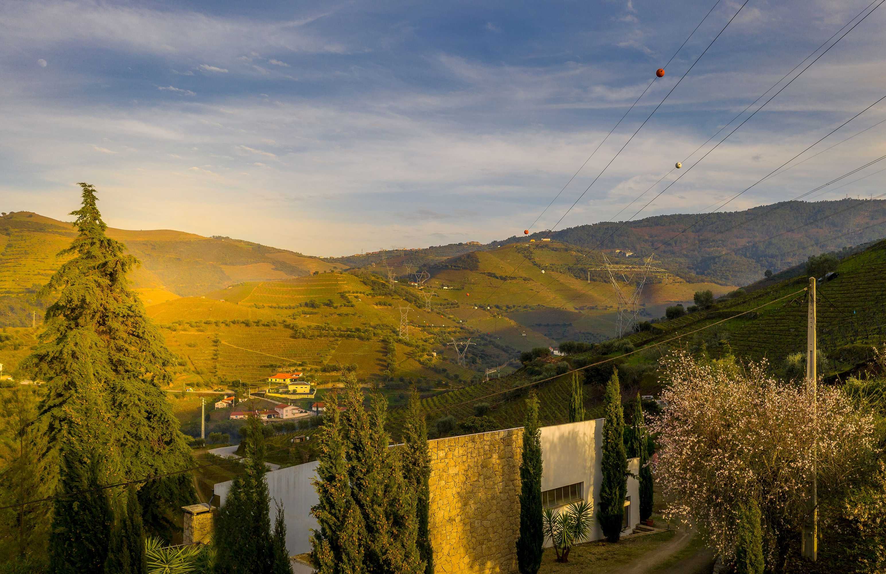 Gift card for Quinta da Portela Douro Gift card for Quinta da Portela Douro